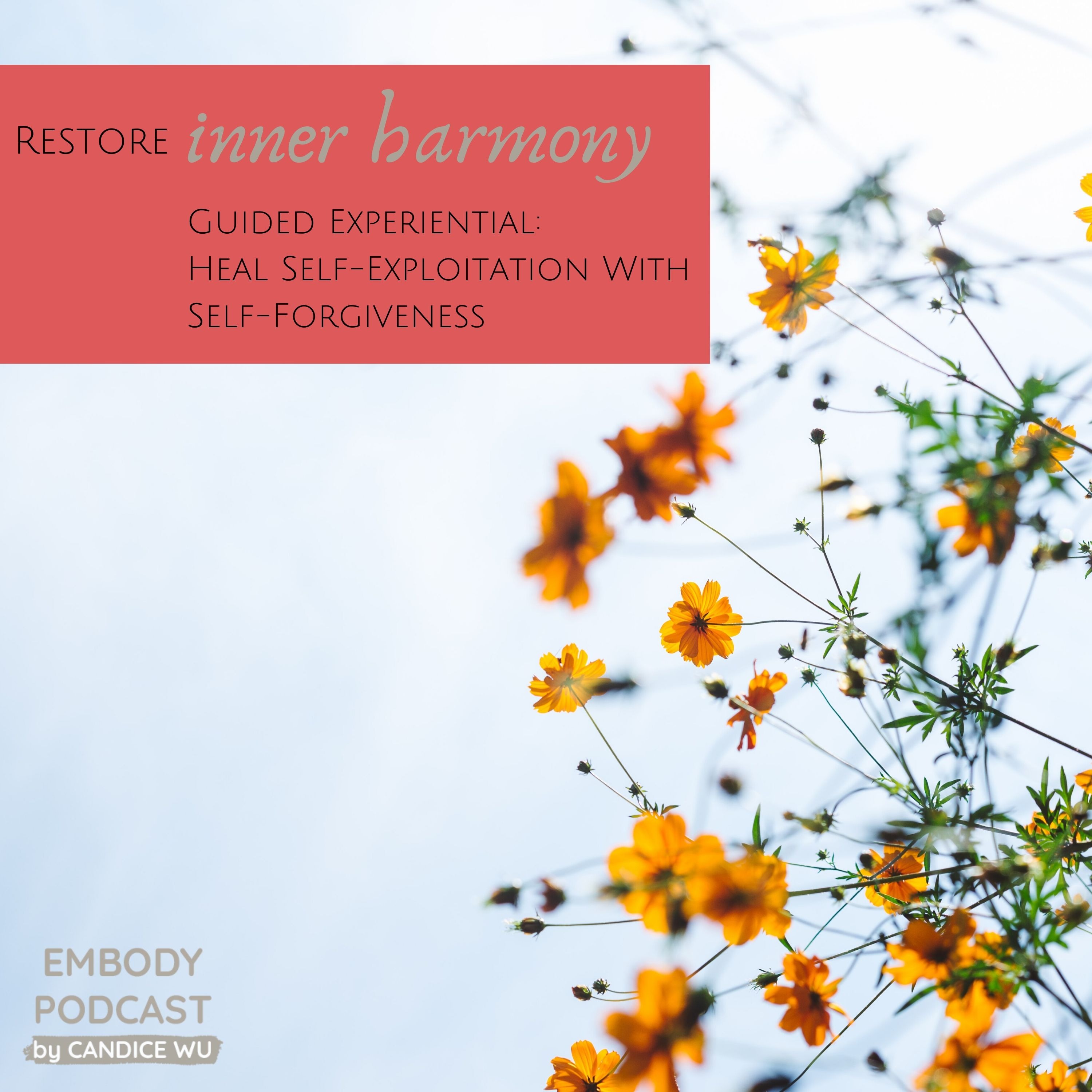 120: Restore Inner Harmony: Guided Experiential: Heal Self-Exploitation With Self-Forgiveness