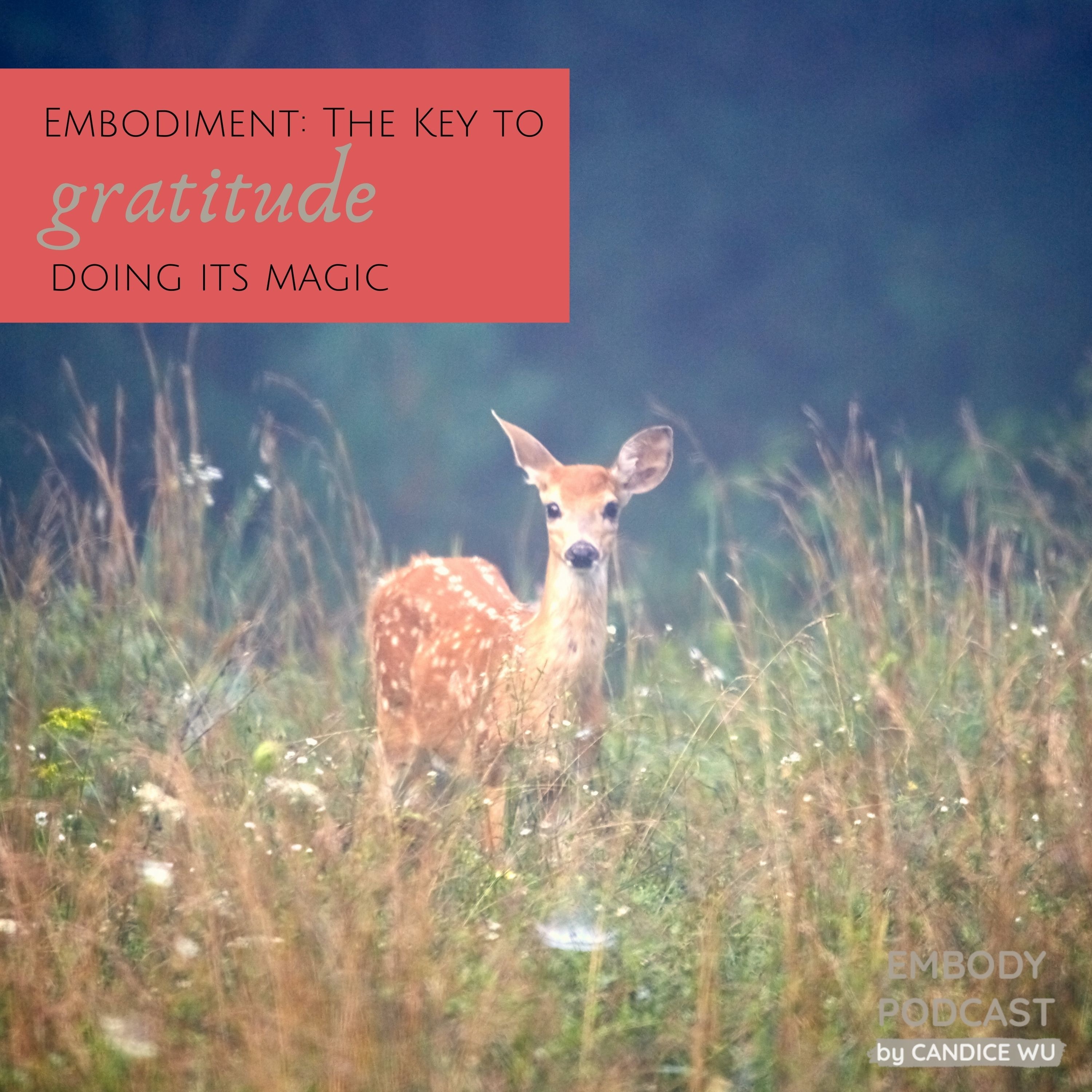 140: Embodiment: The Key to Gratitude Doing Its Magic