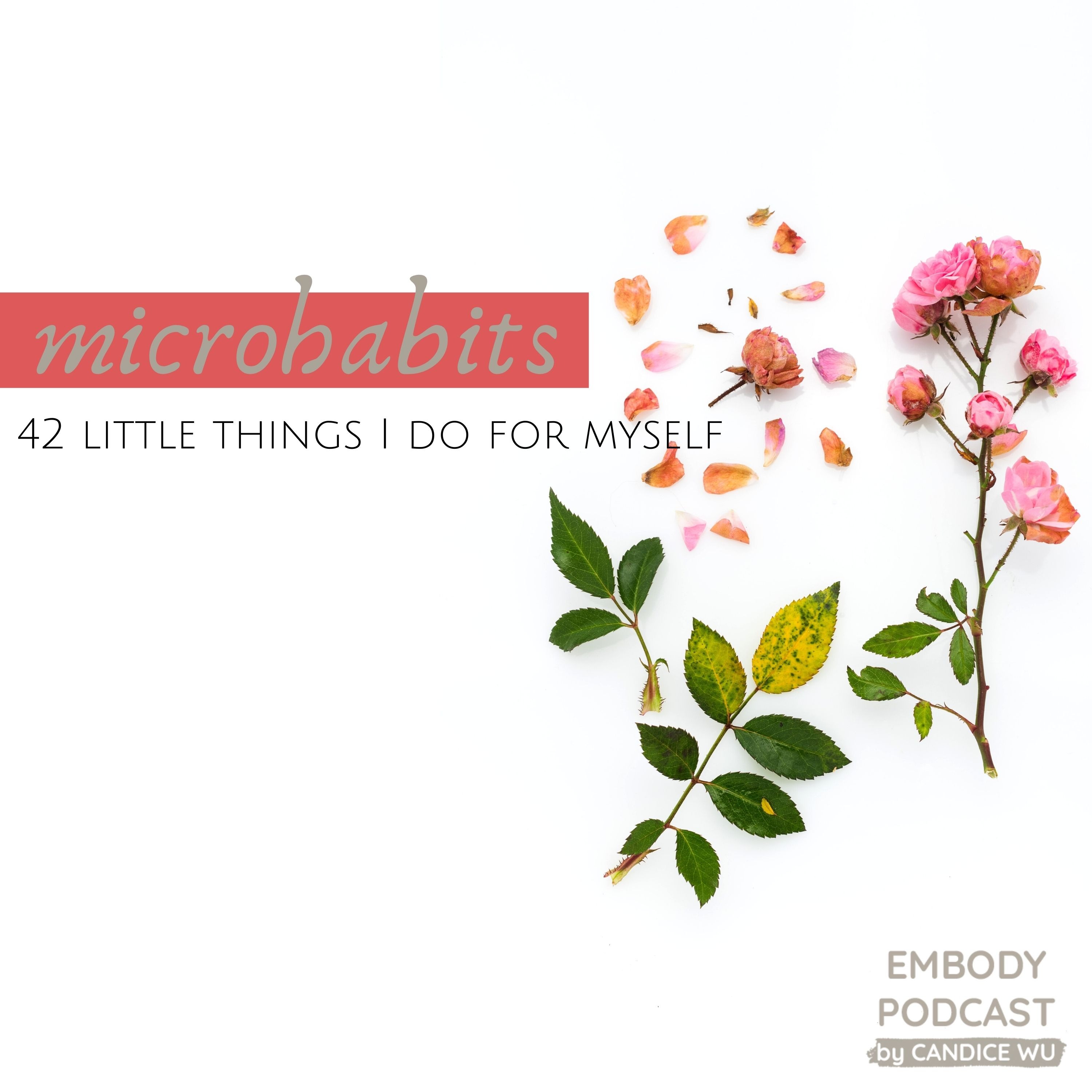 159: Microhabits: 42 Little Things I Do For Myself