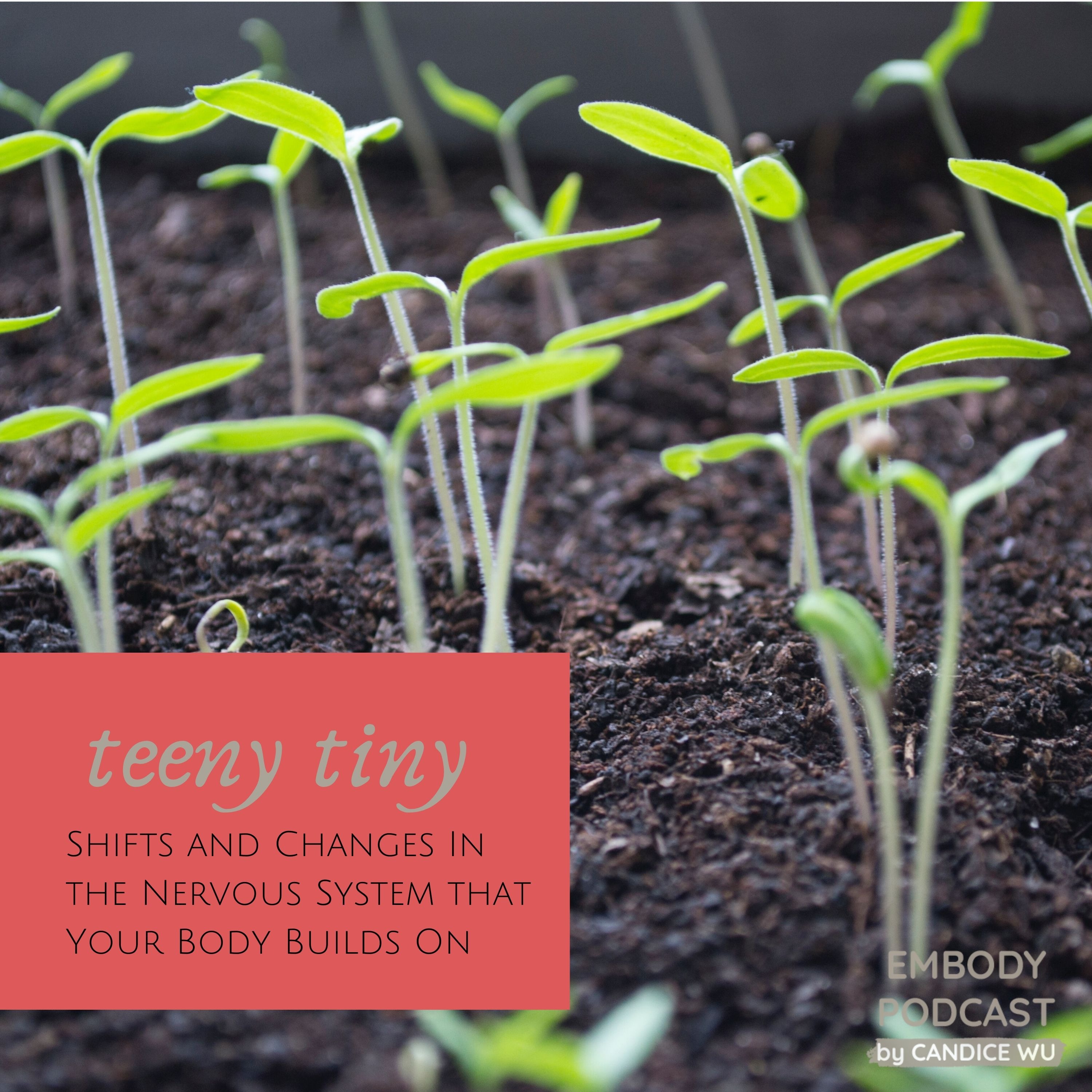 94: The Teeny Tiny Shifts and Changes in the Nervous System That Your Body Builds On