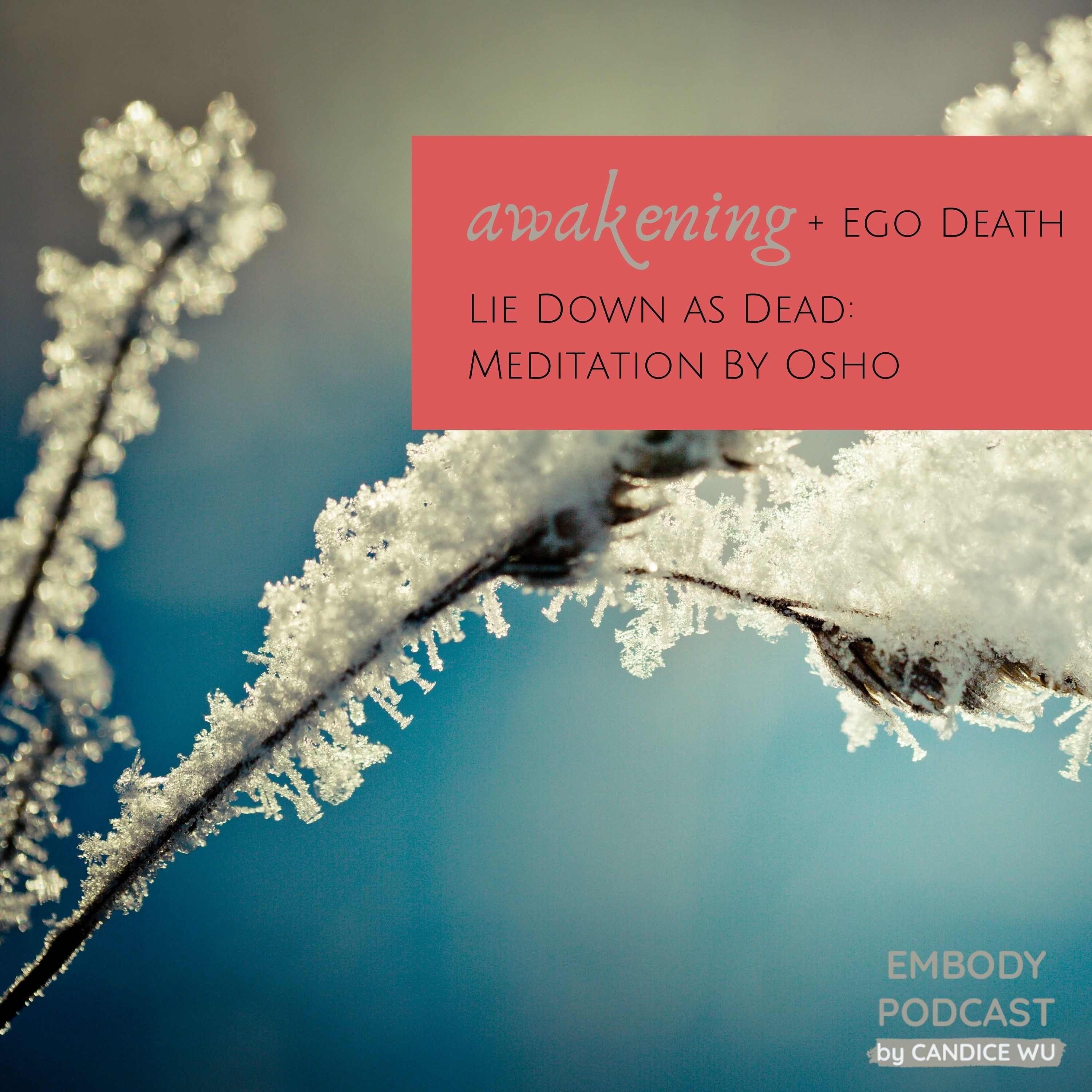 142: Awakening + Ego Death: Lie Down as Dead, Meditation by Osho