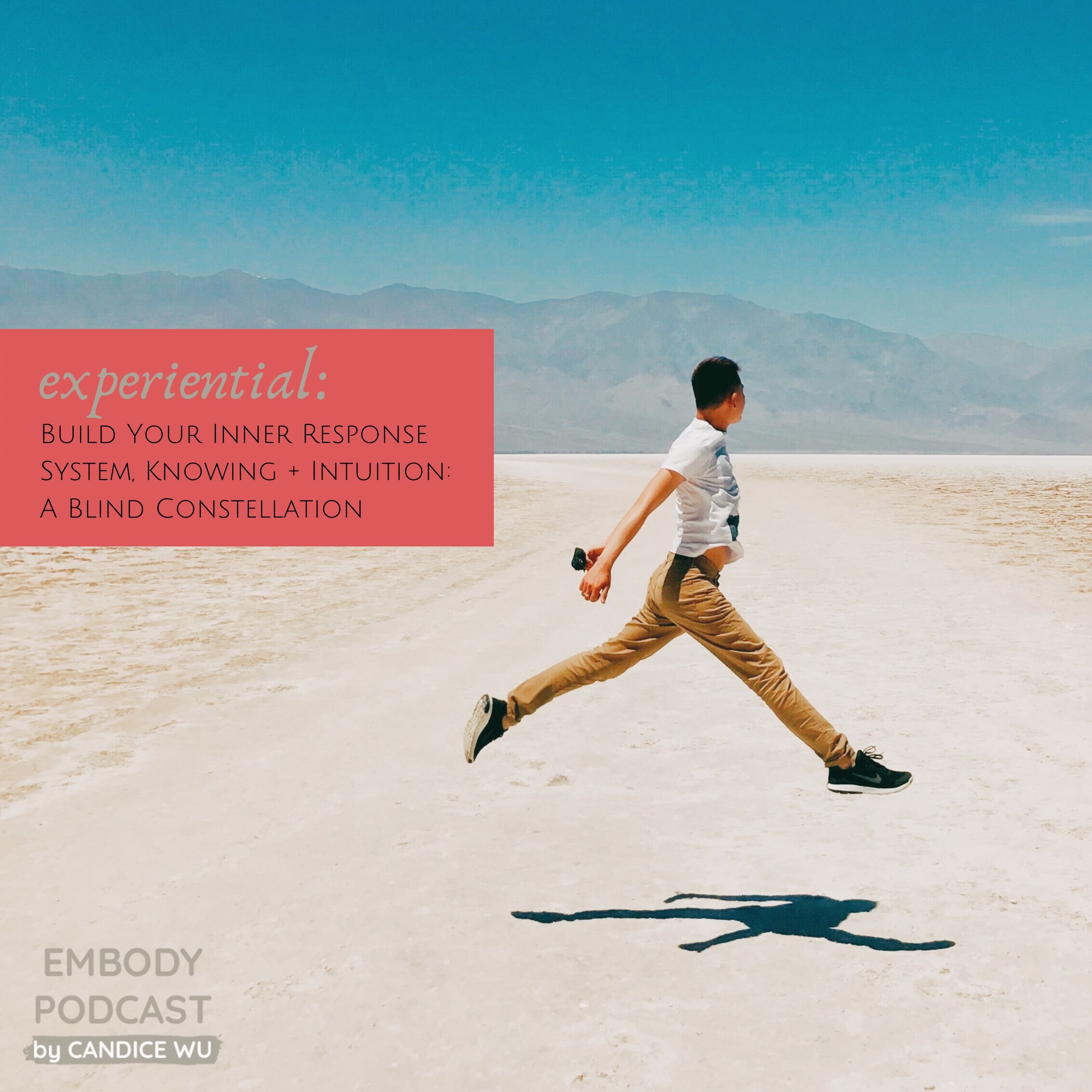 117: Build Your Inner Response System, Knowing and Intuition: Blind Constellation Experiential