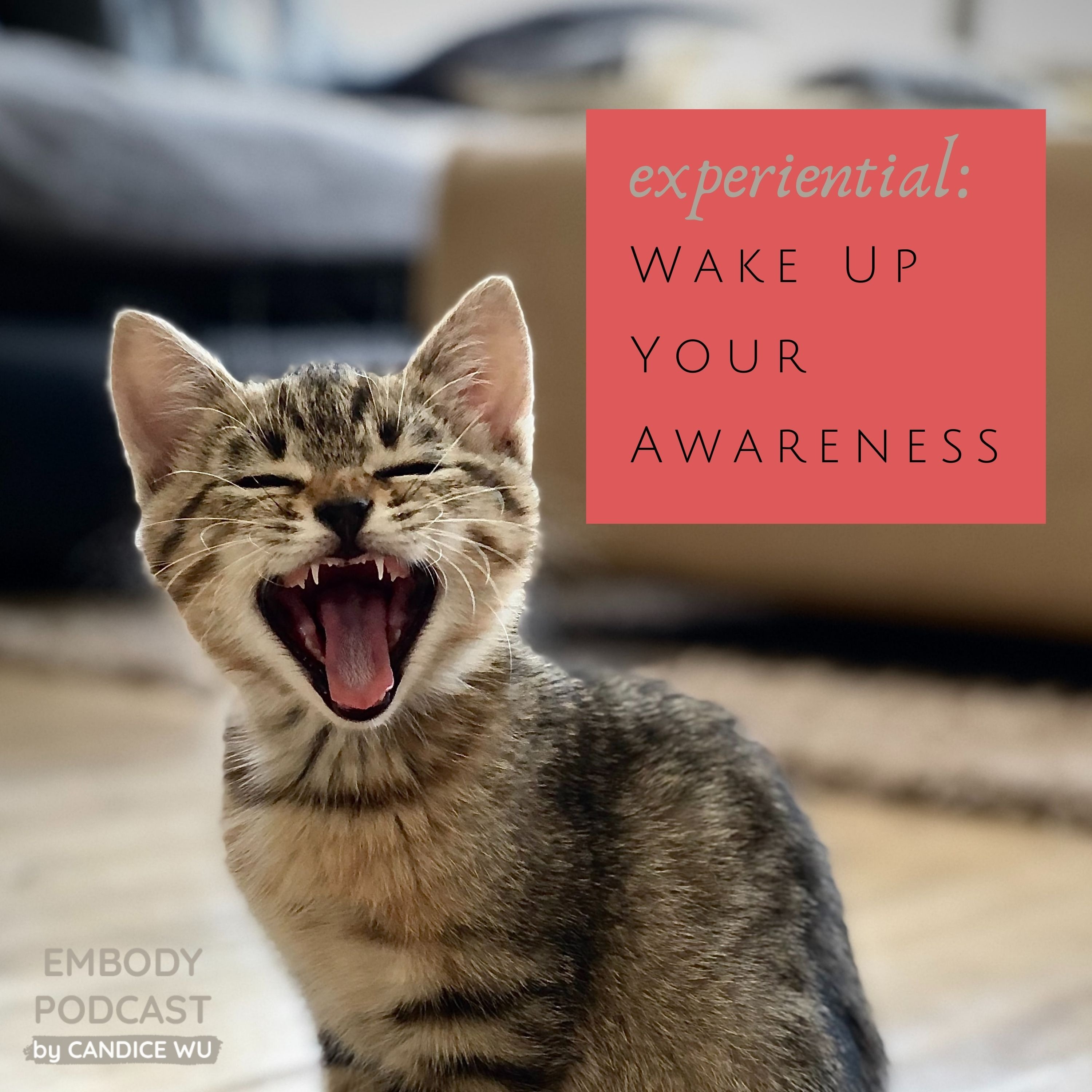 177: Experiential: Wake Up Your Awareness