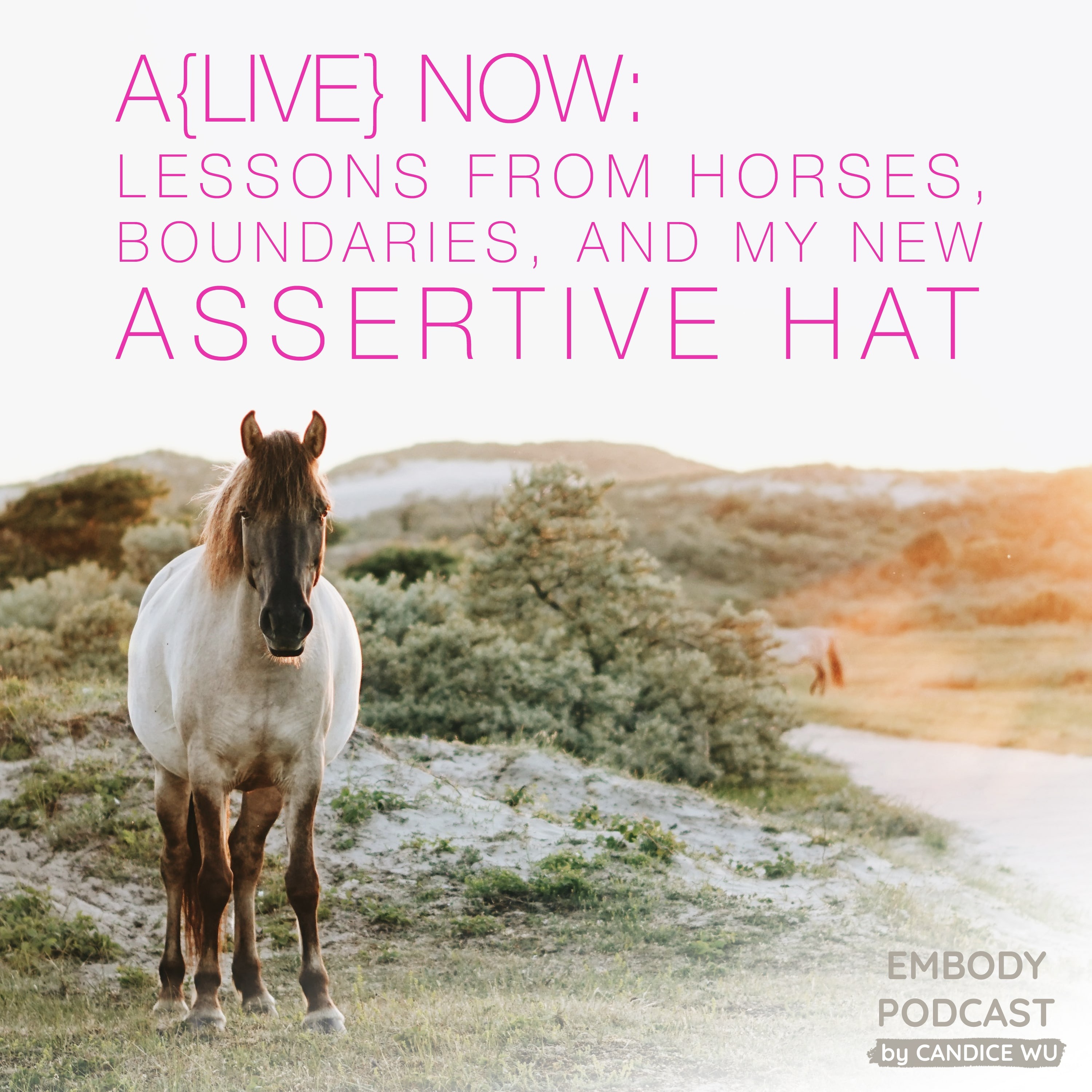 57: A{Live} Now: Lessons From Horses, Boundaries, and my new Assertive Hat