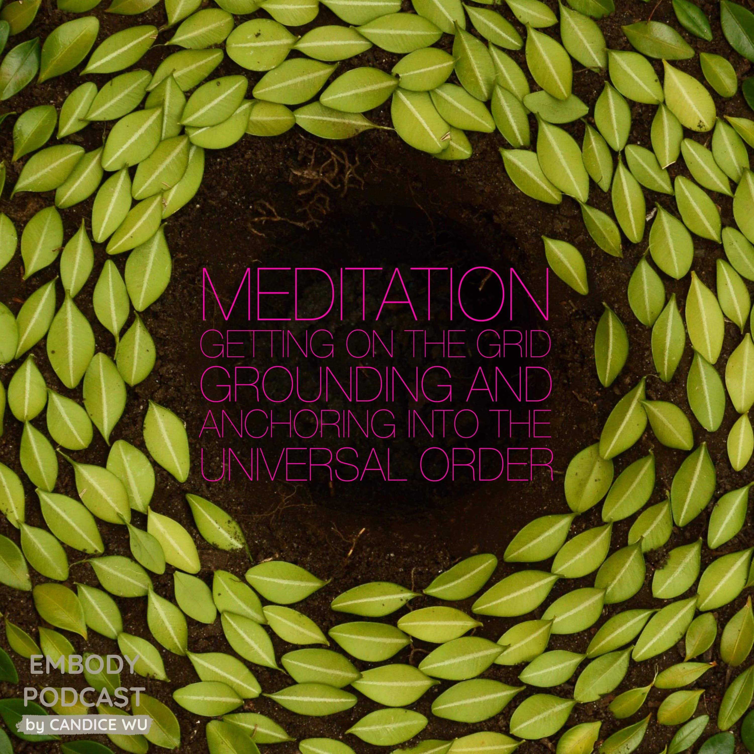 30b: Meditation ❤ Getting on the Grid: Grounding and Anchoring into the Universal Order episode artwork