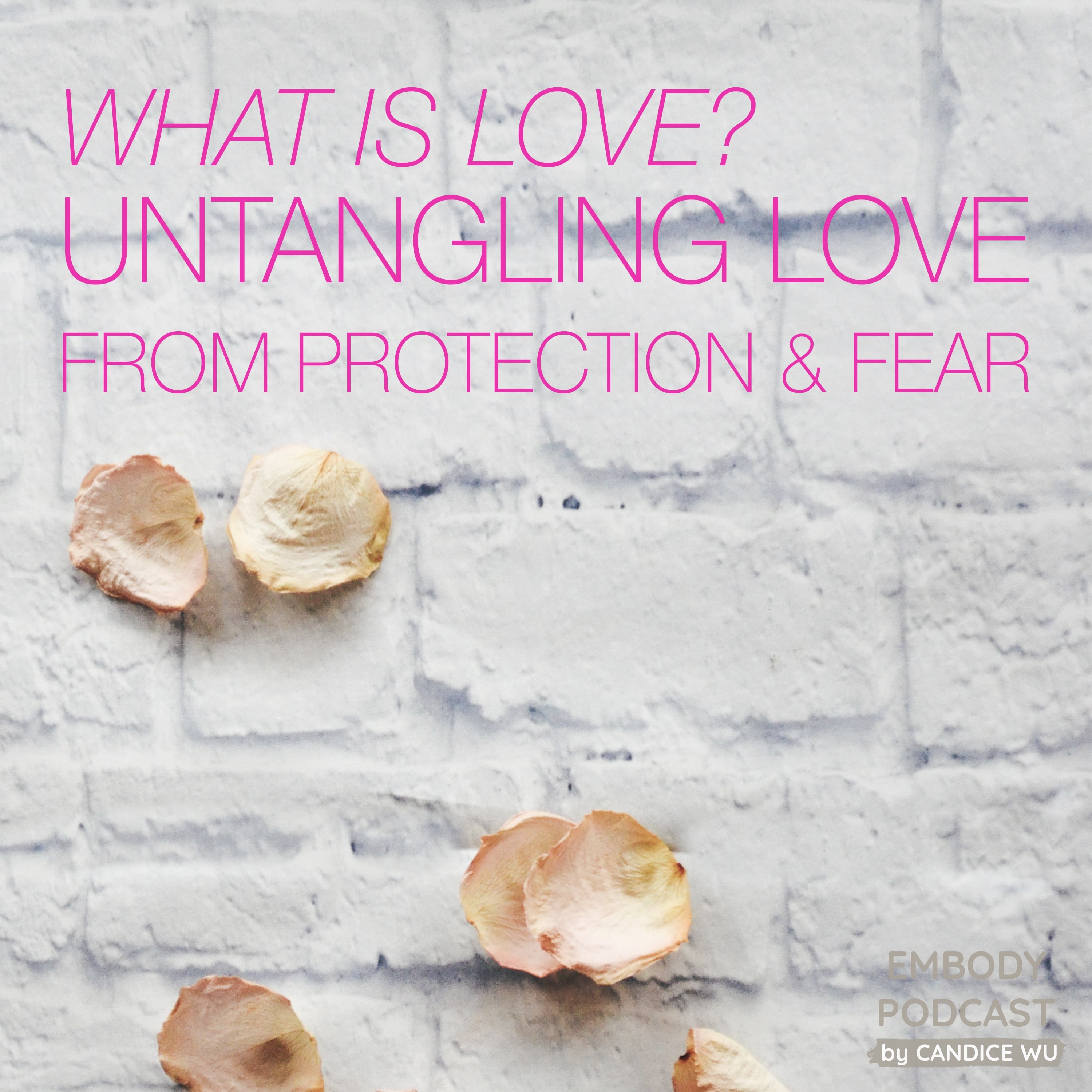 63: What is Love? Untangling Love from Protection & Fear