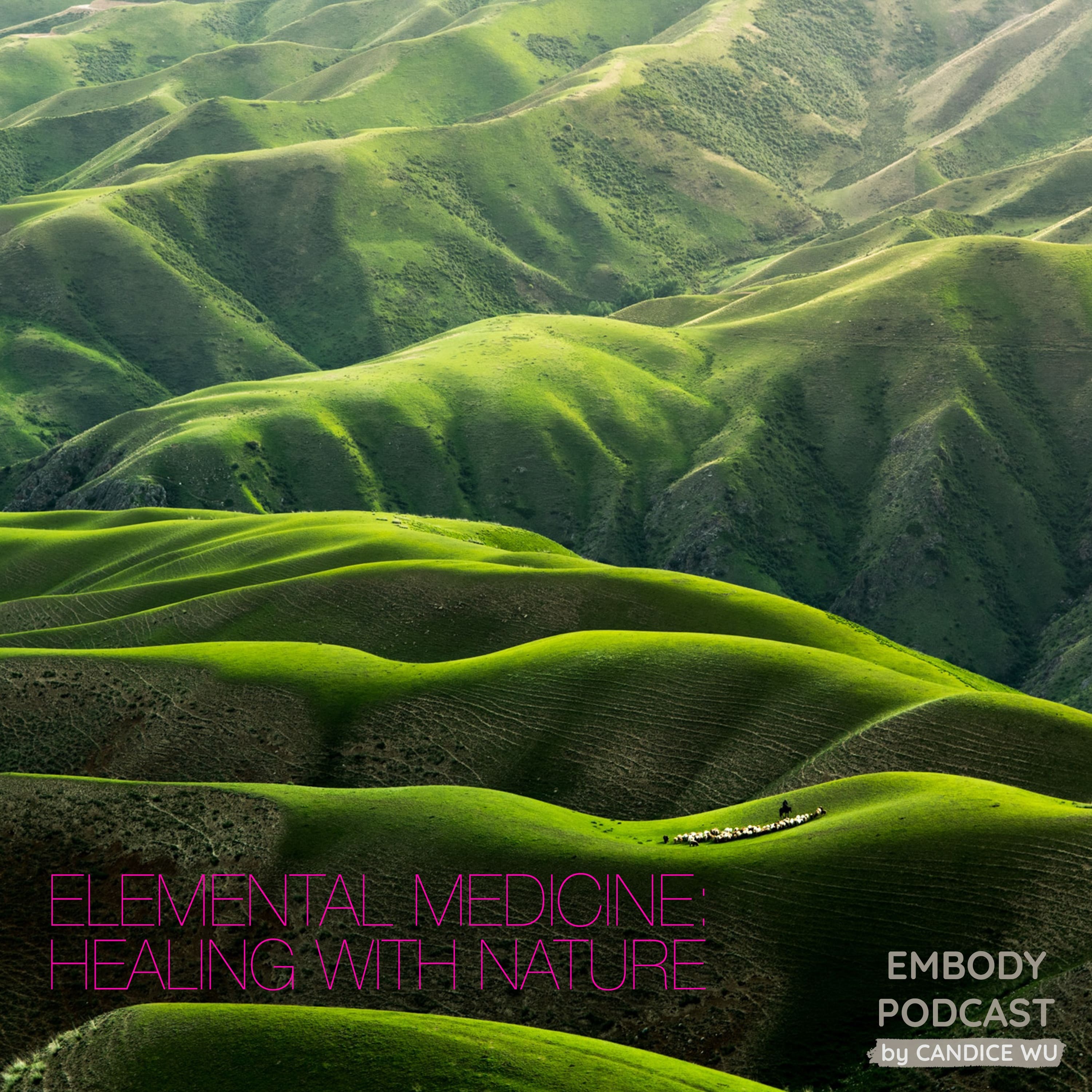 28d: Meditation ❤ Elemental Medicine: Accessing Your Intuition and Nature for Pure Balancing episode artwork