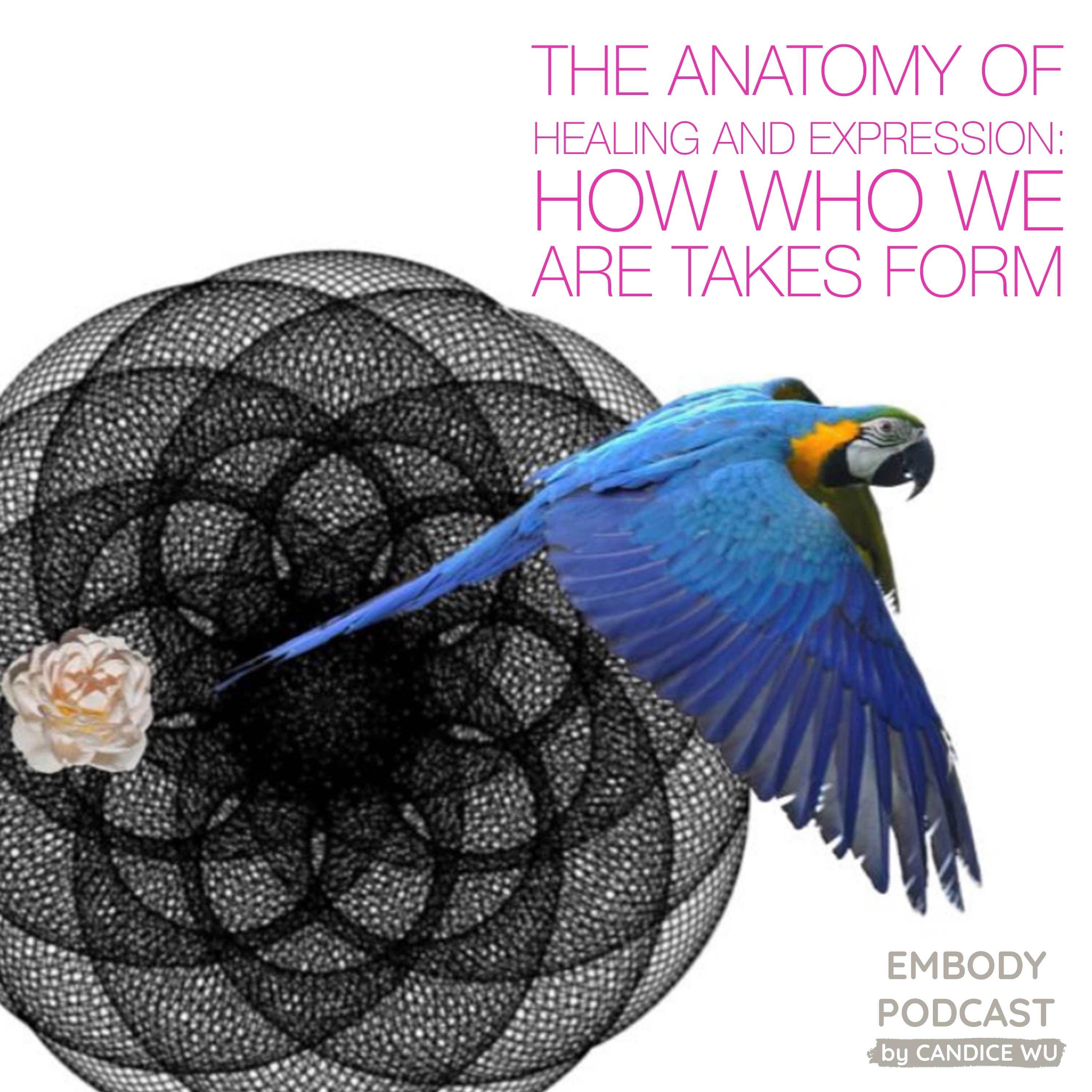 42: The Anatomy of Healing and Expression — How Who We Are Takes Form