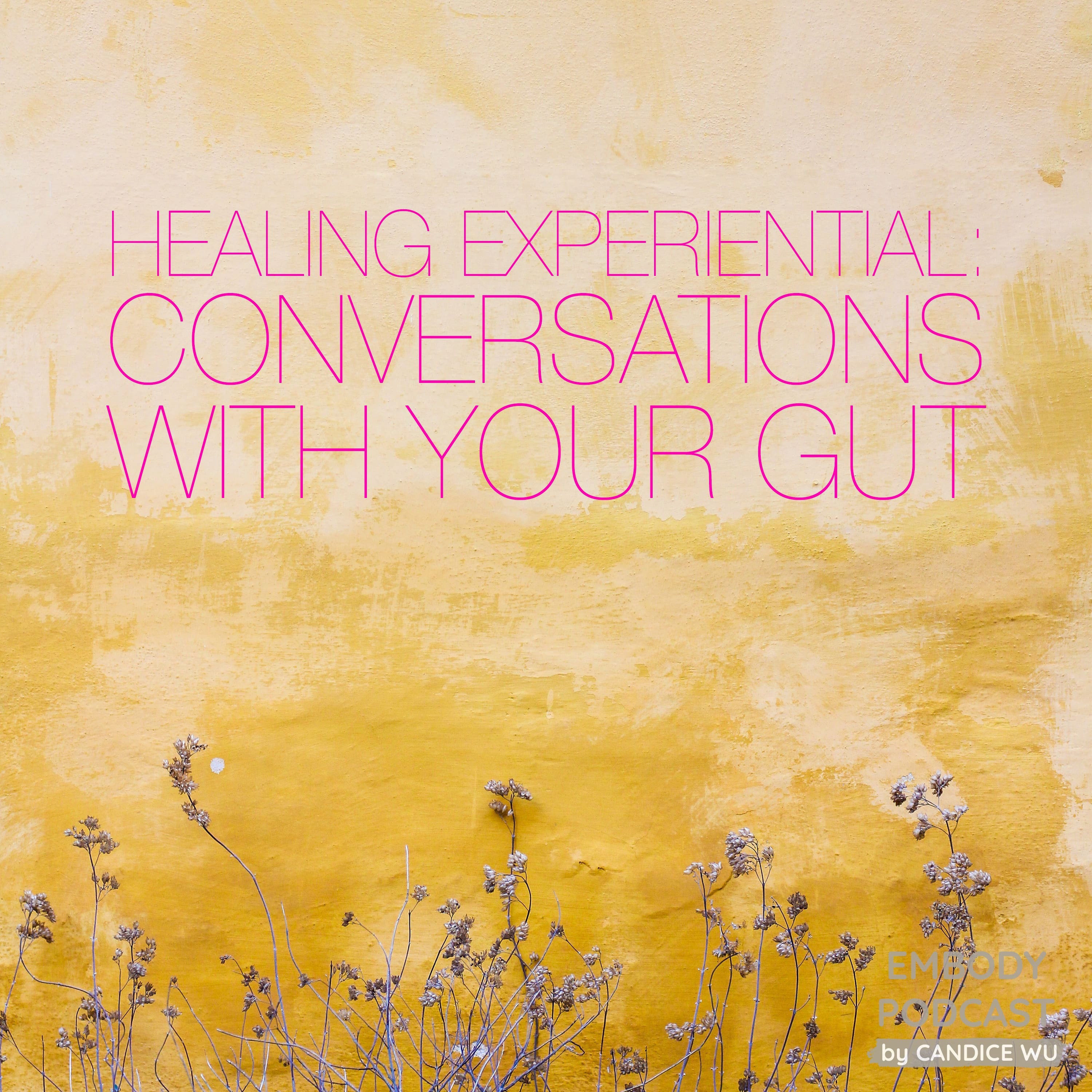26c: Healing Experiential ❤ Conversations With Your Gut episode artwork