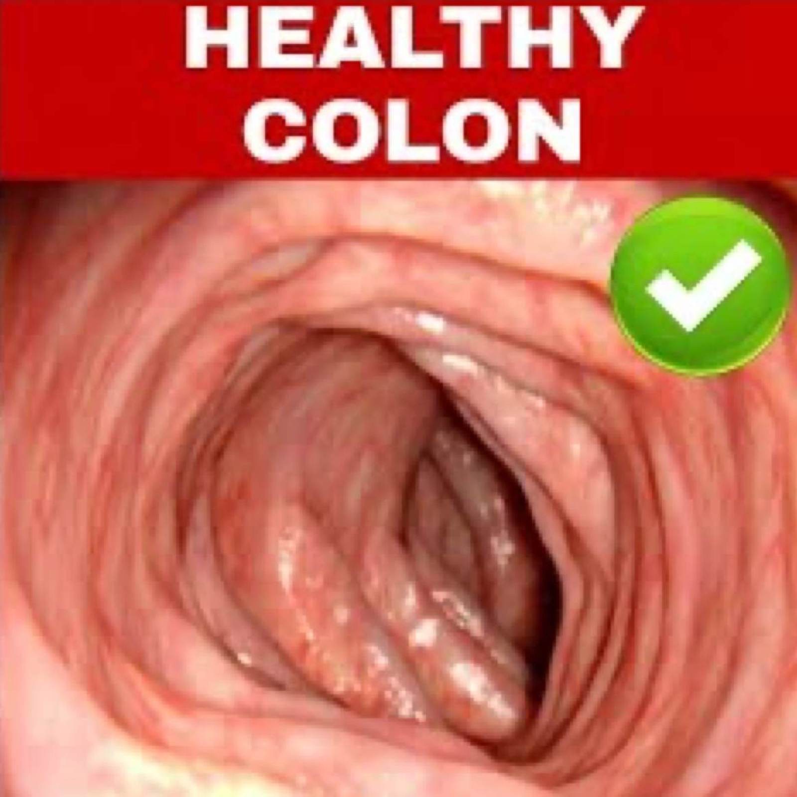 Zero Veggies, Still Clean As A Whistle!