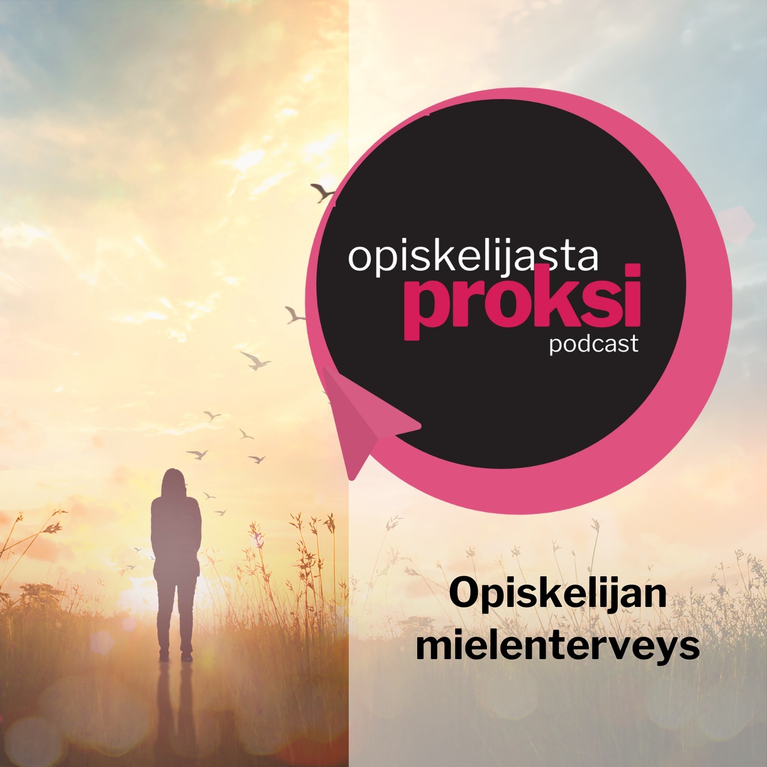 Opiskelijasta Proksi