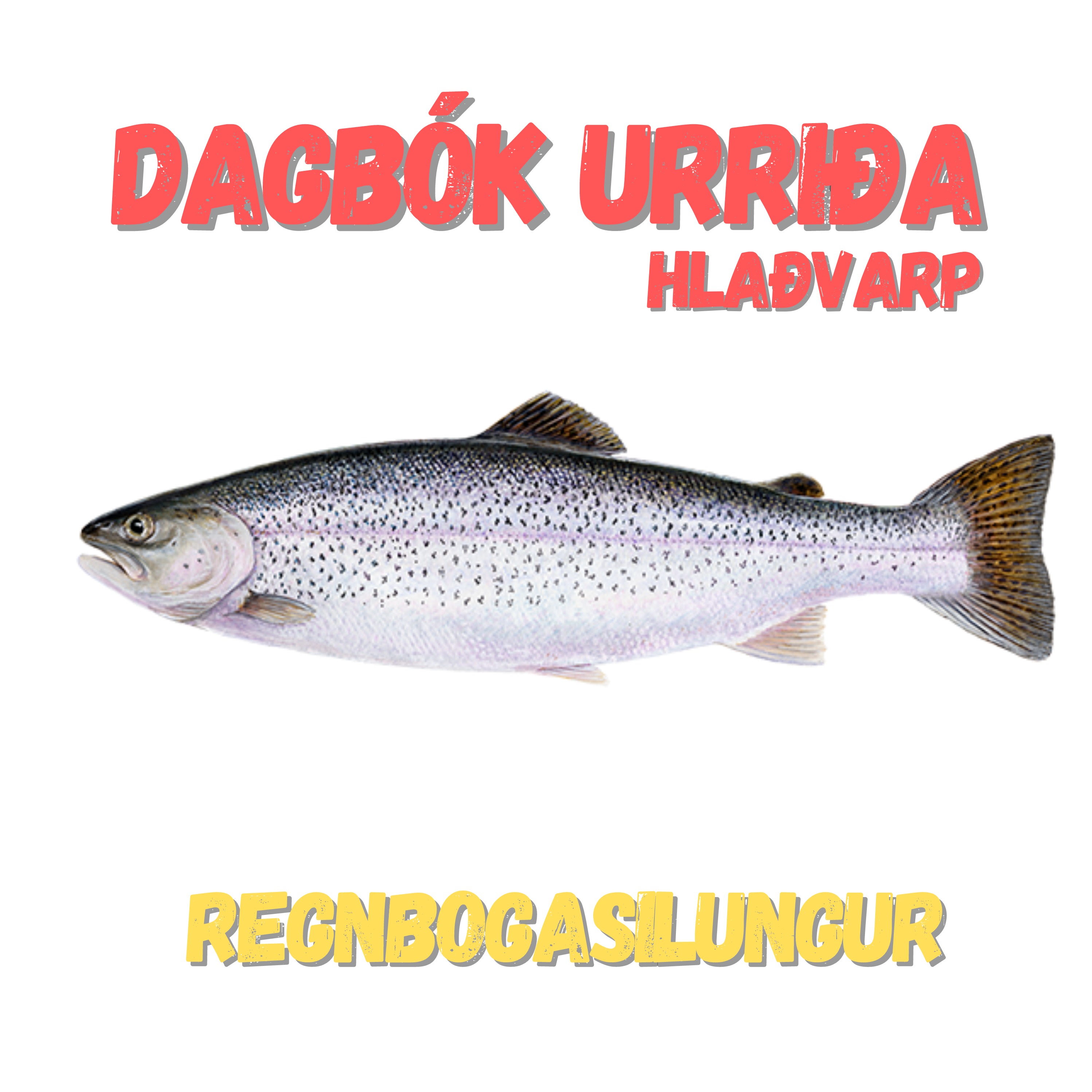 Dagbók urriða - Truflaðir veiðimenn - Áskrift.