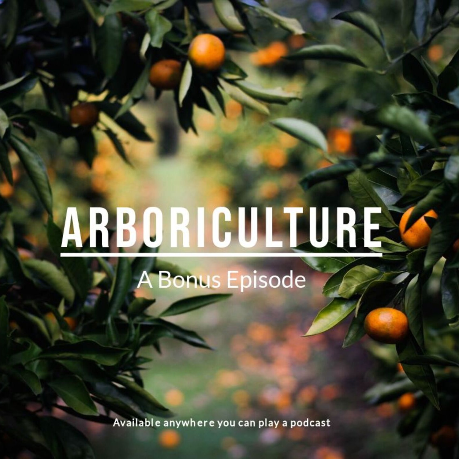 BONUS: Arboriculture