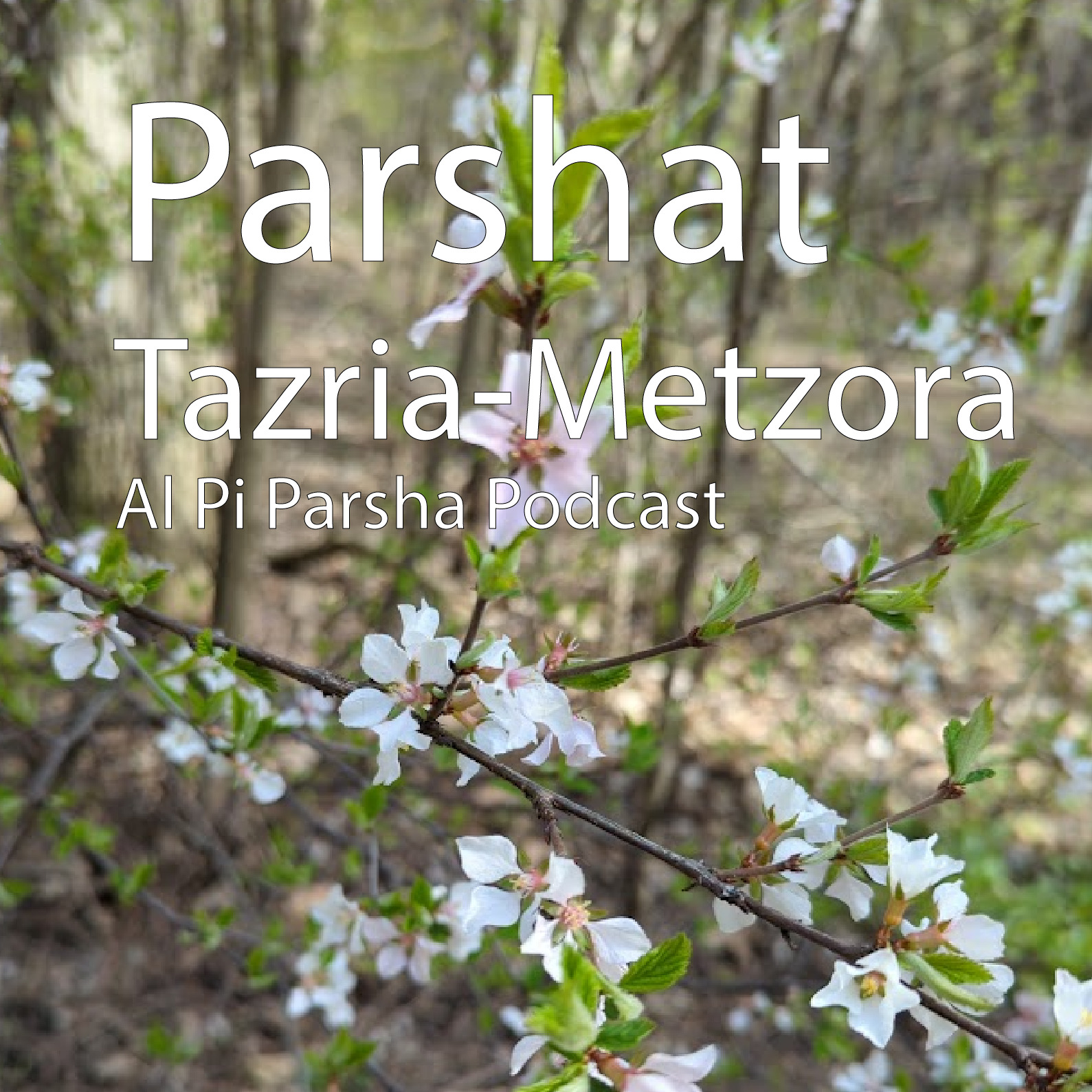 Al Pi Parsha Podcast