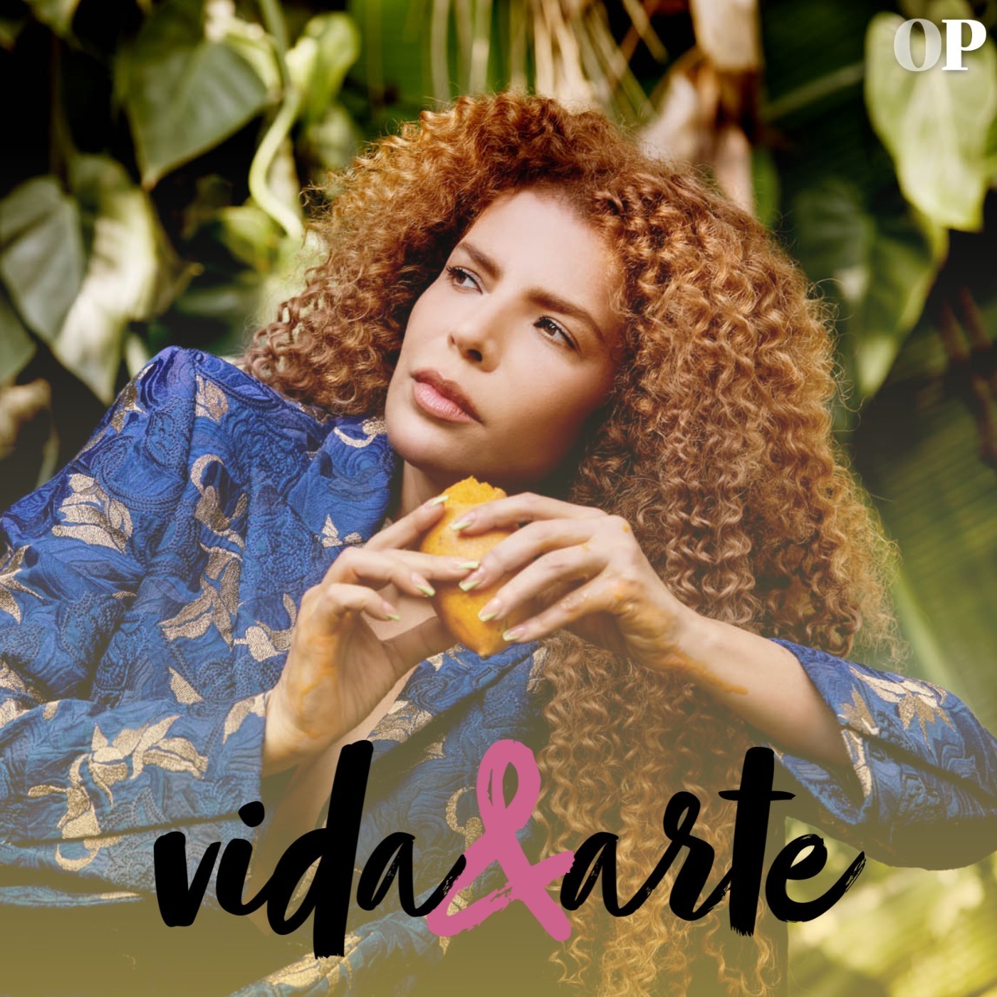 #52 - V&A Convida: Vanessa da Mata episode artwork