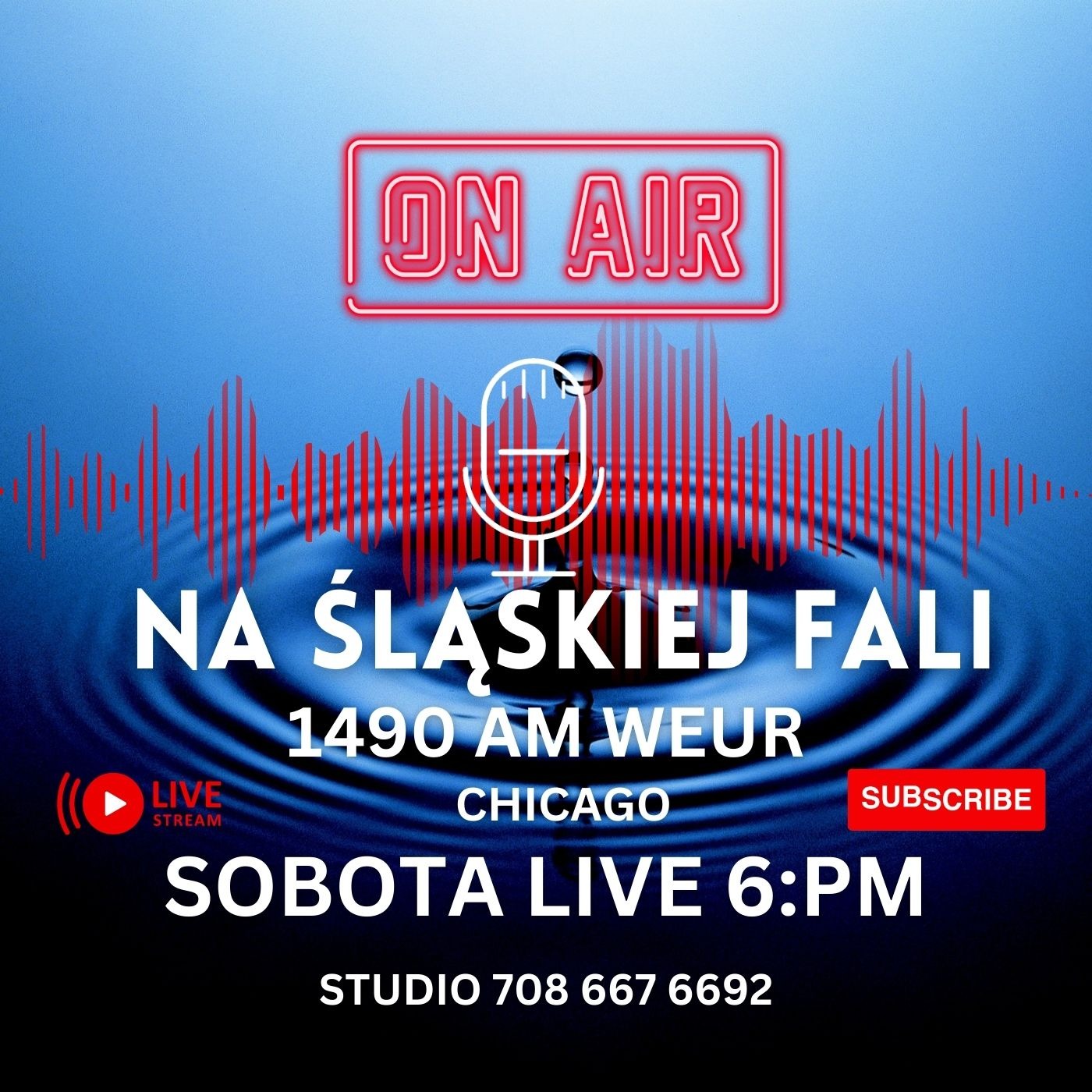 Śląska Fala Chicago episode artwork