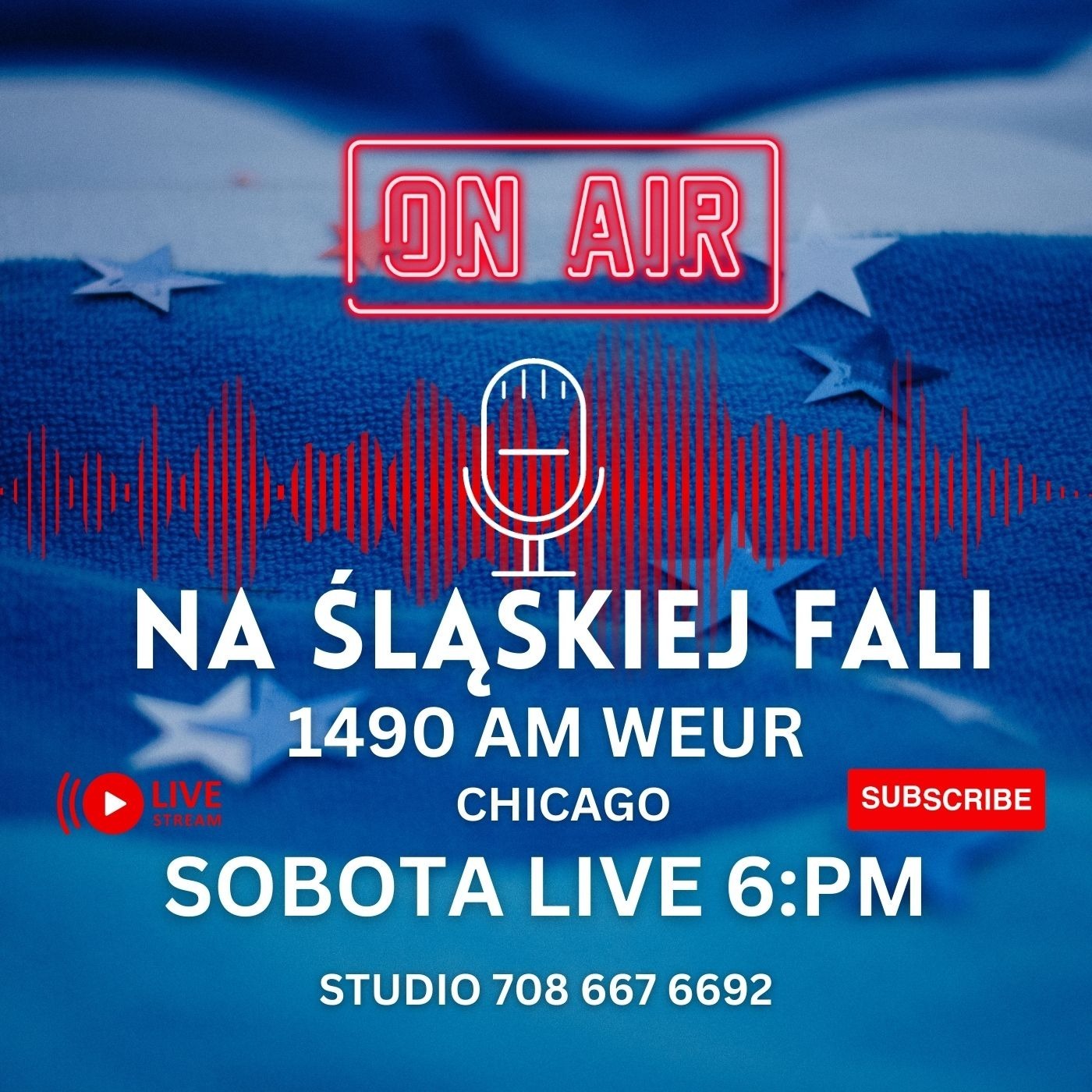 Radio Na Śląskiej Fali Chicago