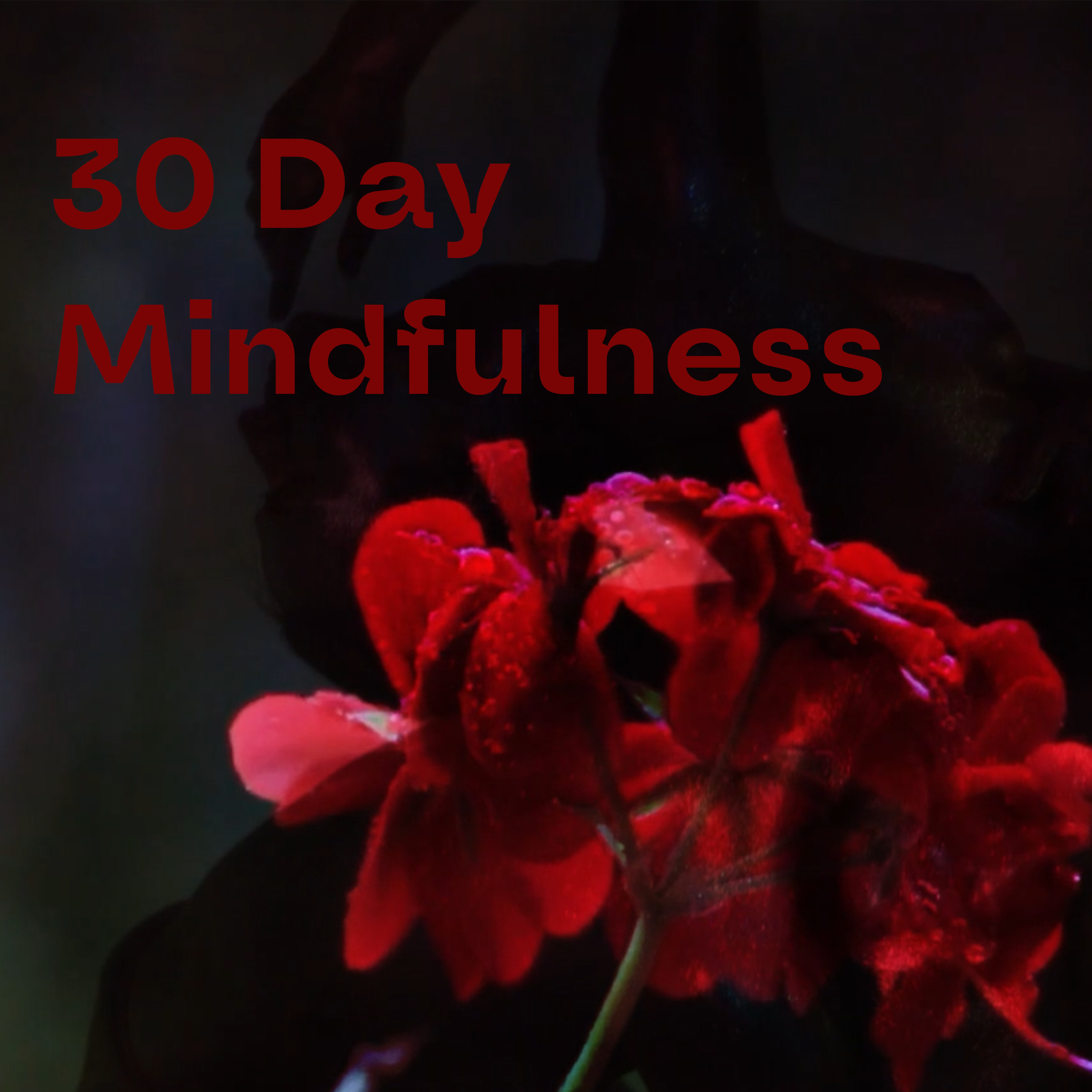 Day 22: "A Pause for Appreciation: Time for Reflection and Gratitude"