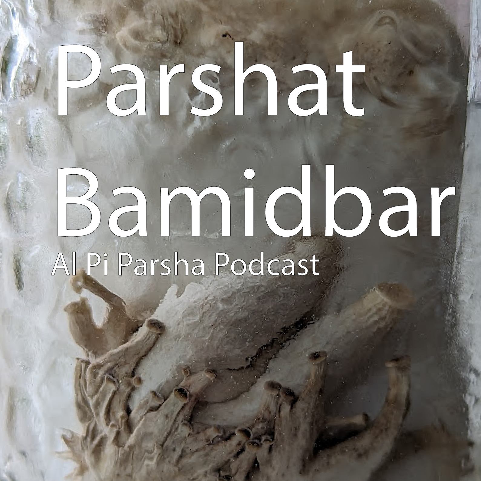 Al Pi Parsha Podcast