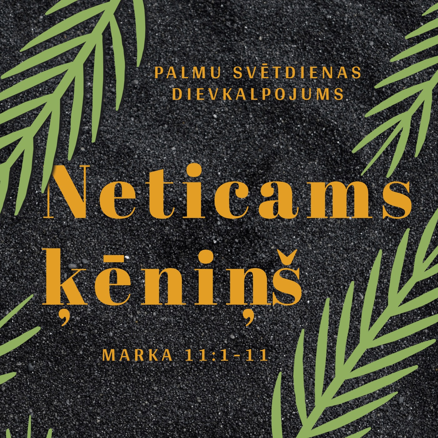 "Neticams ķēniņš" - Marka 11:1-11 (02.04.2023. - Palmu svētdienas dievkalpojums) episode artwork