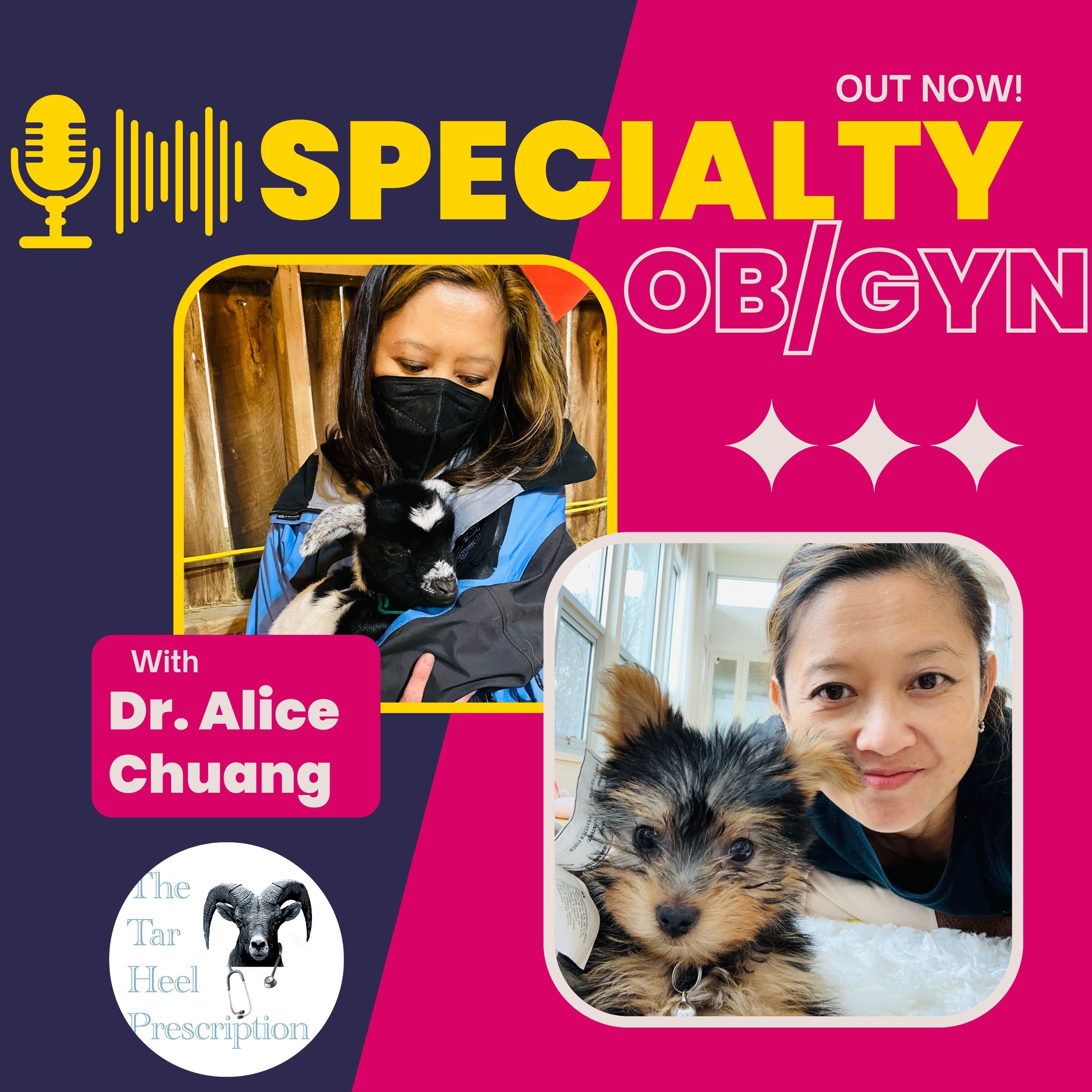 2.7 Specialty: OB-GYN