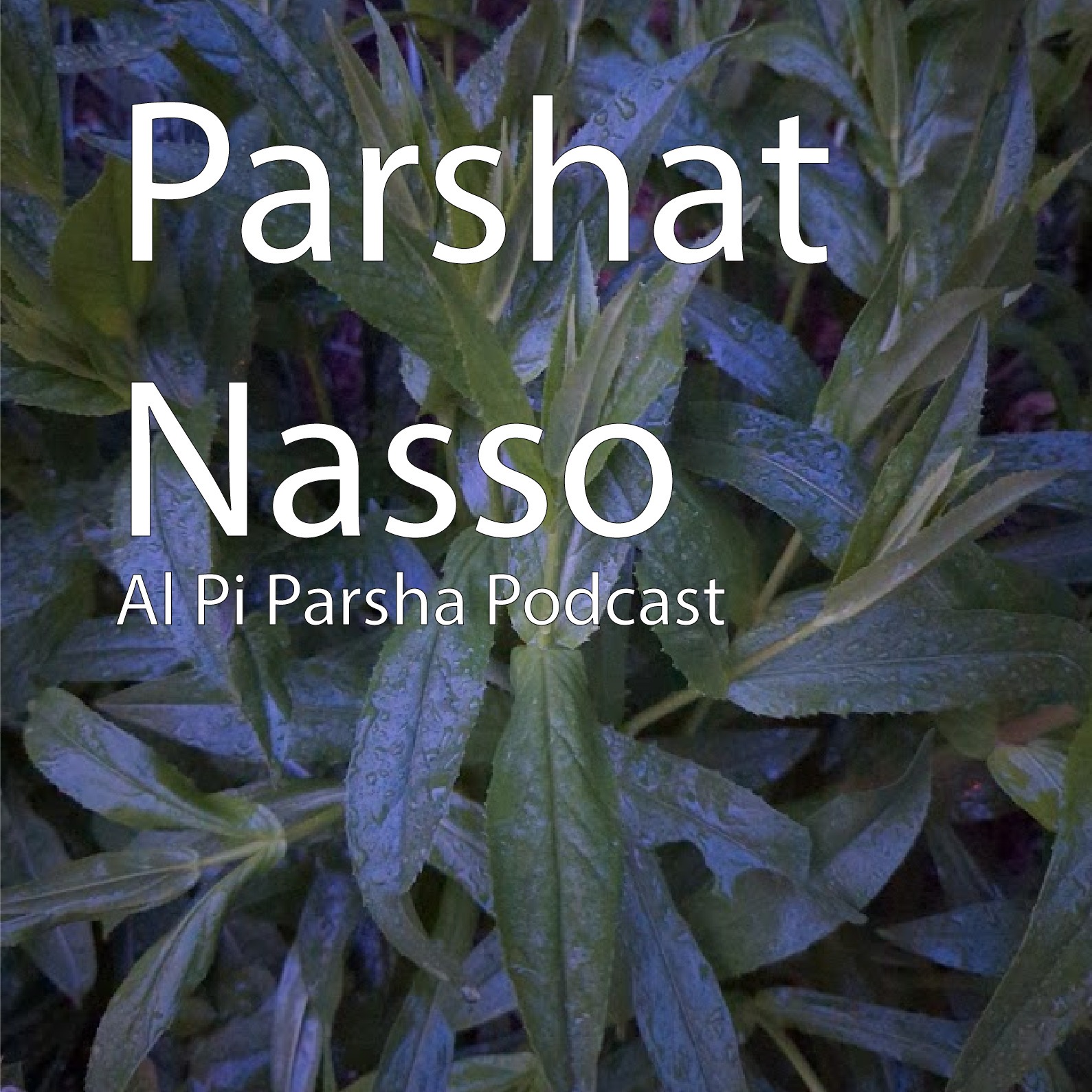 Al Pi Parsha Podcast