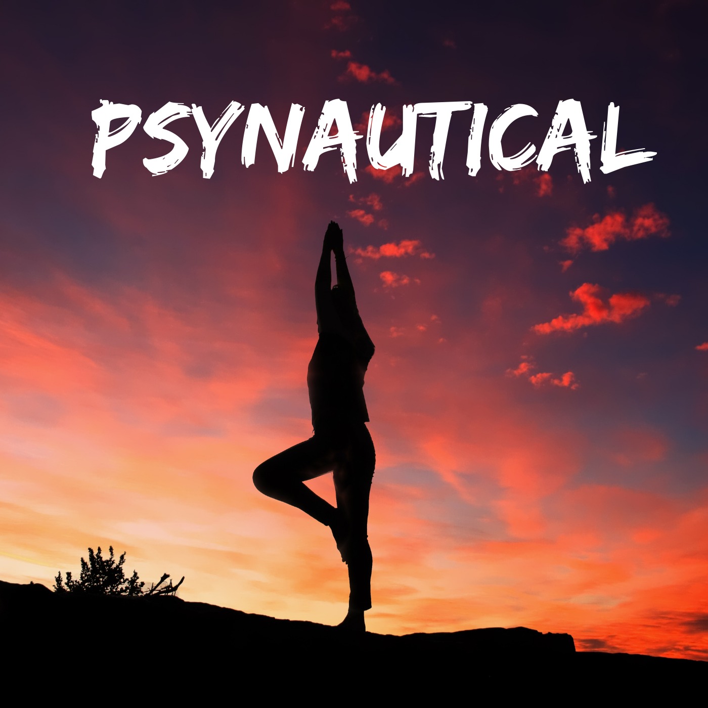 Psynautical:  Holistic Health, Spirituality, Philosophy