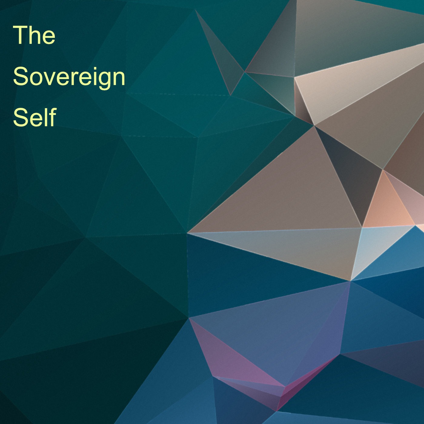 Notes from a Lesser Reality