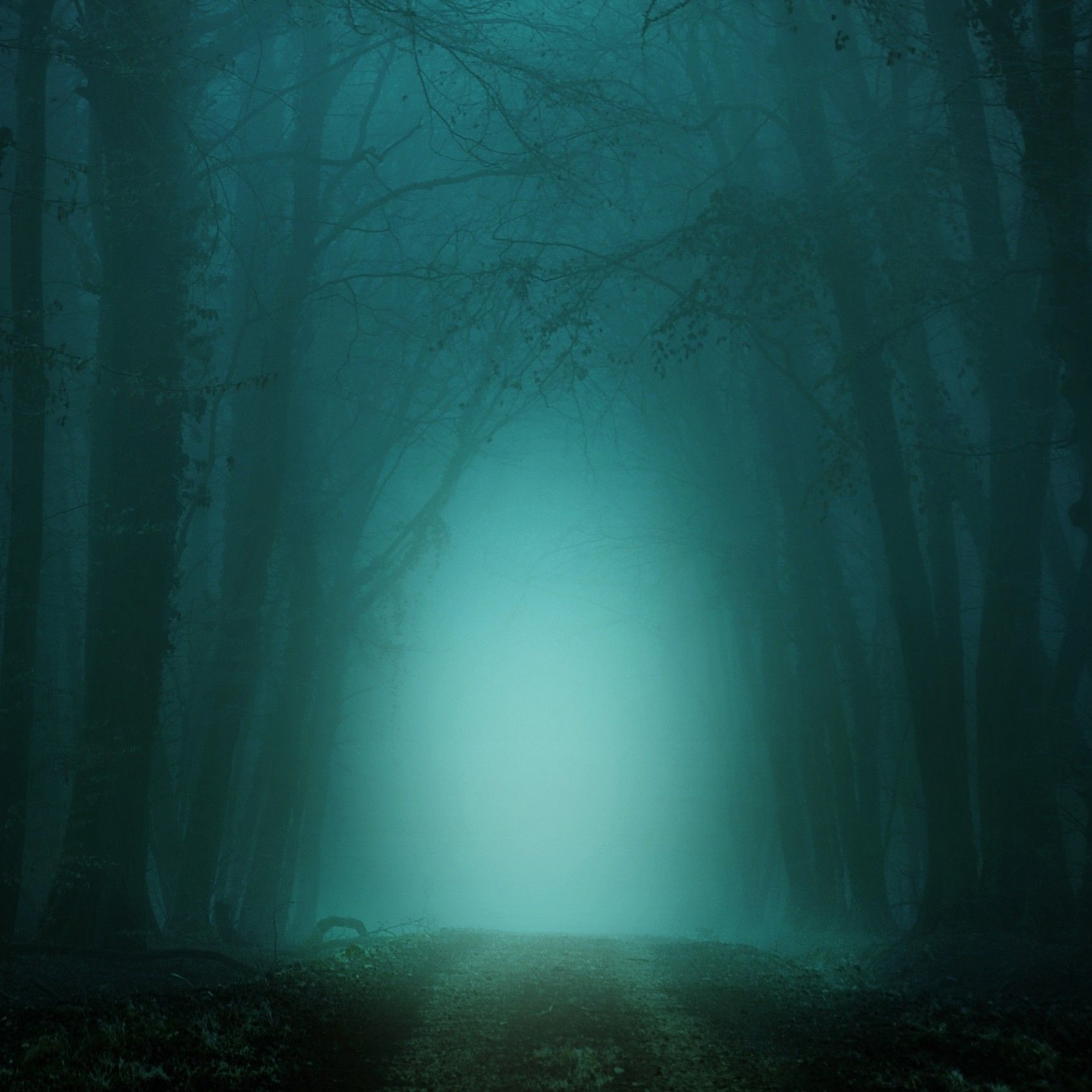 Audio Player Image