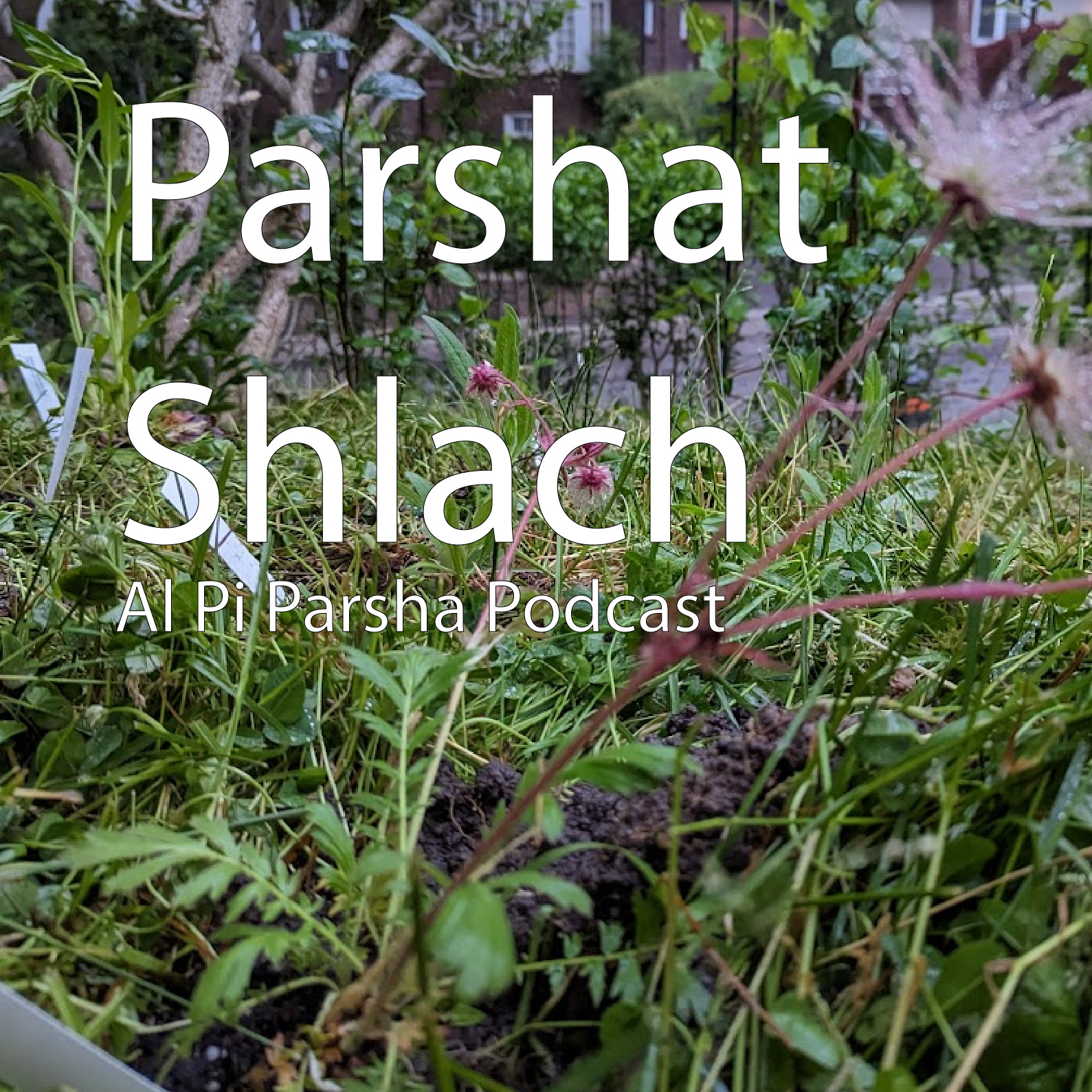Al Pi Parsha Podcast