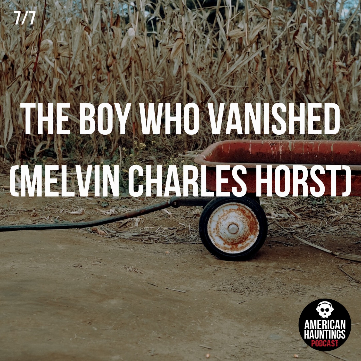 The Boy Who Vanished (Melvin Charles Horst)