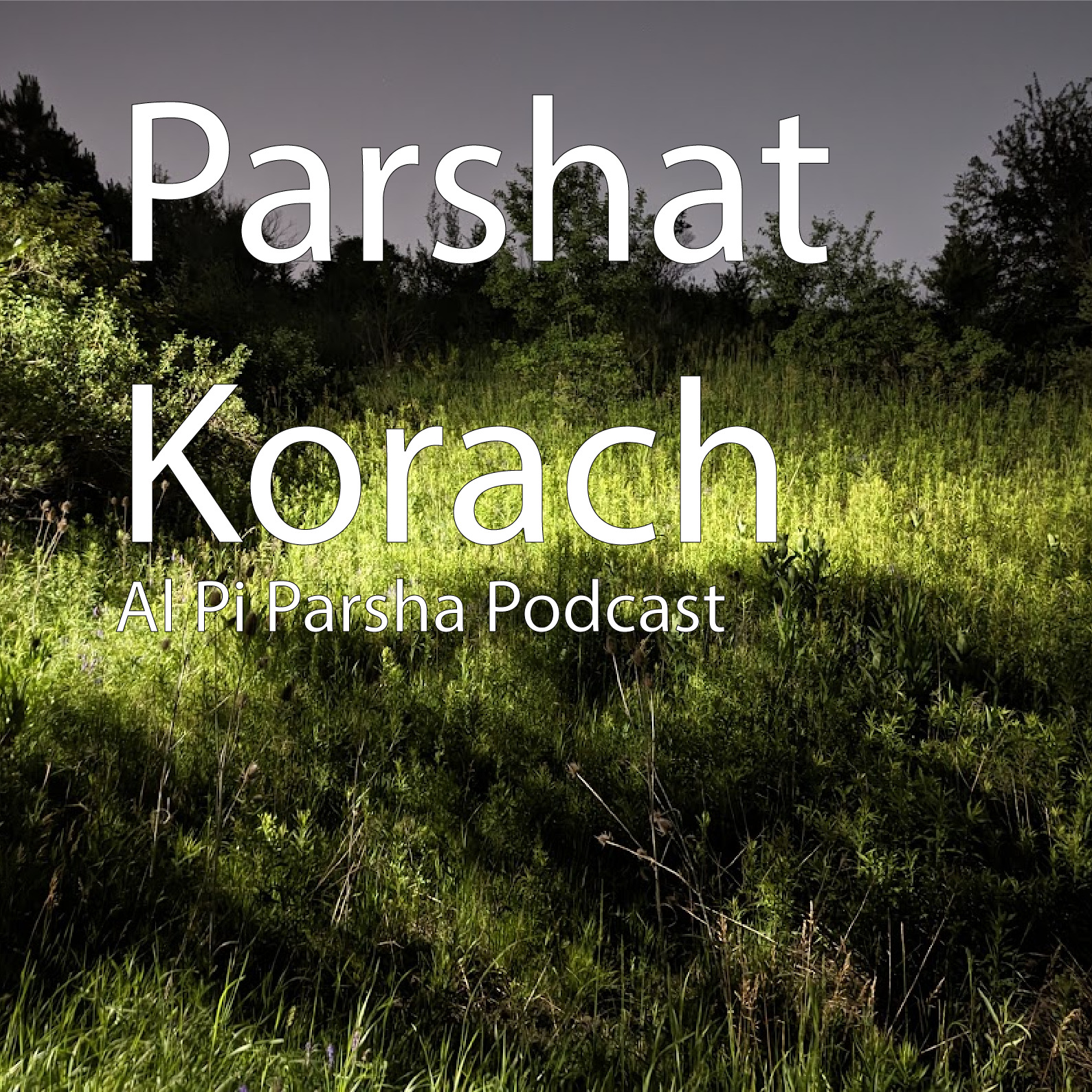 Al Pi Parsha Podcast