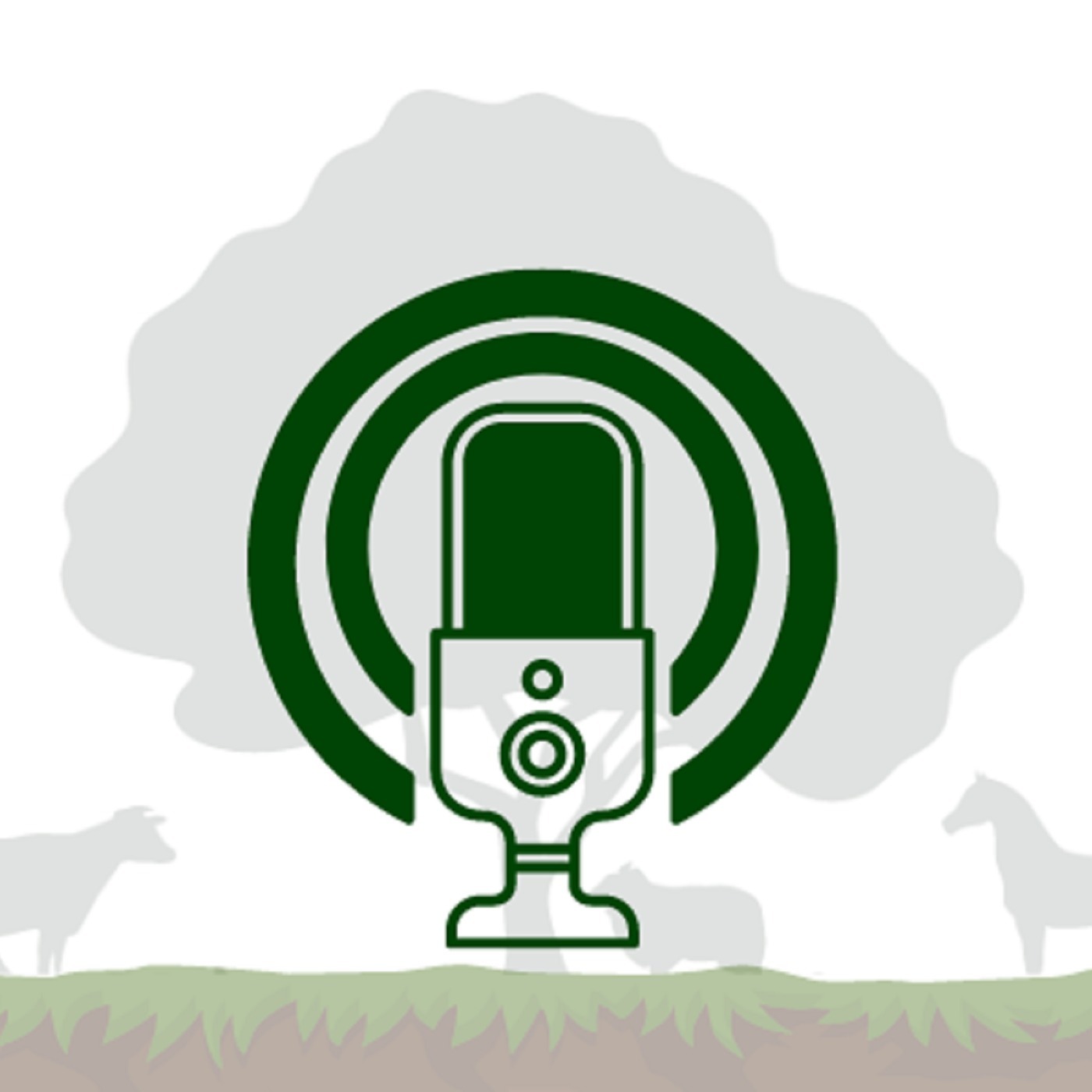 Audio Player Image