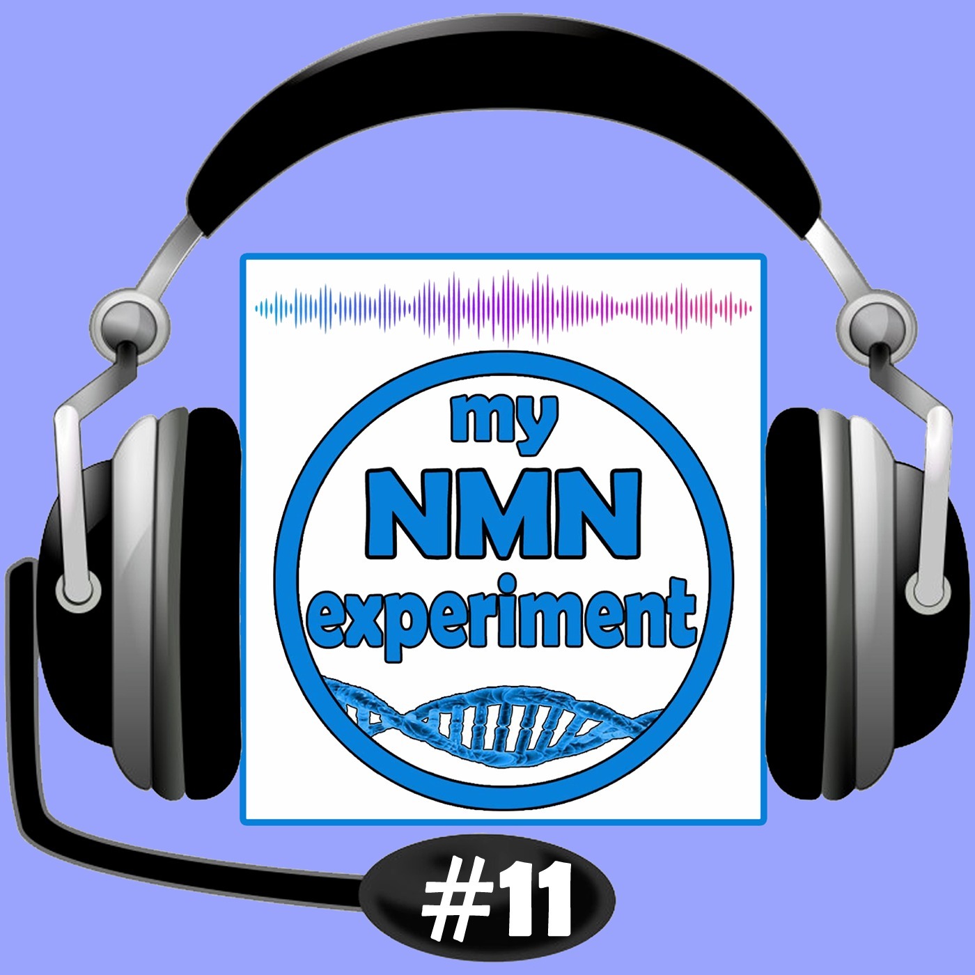 My NMN Experiment