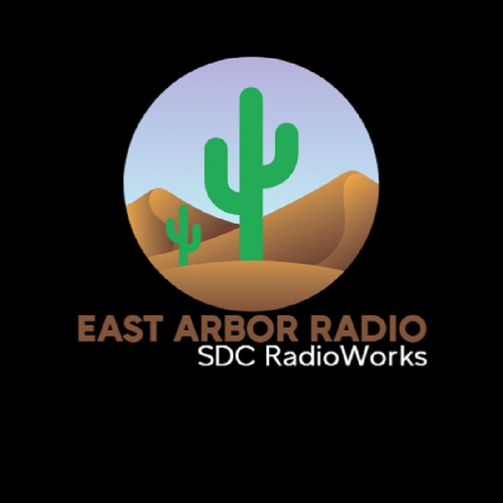 Audio Player Image