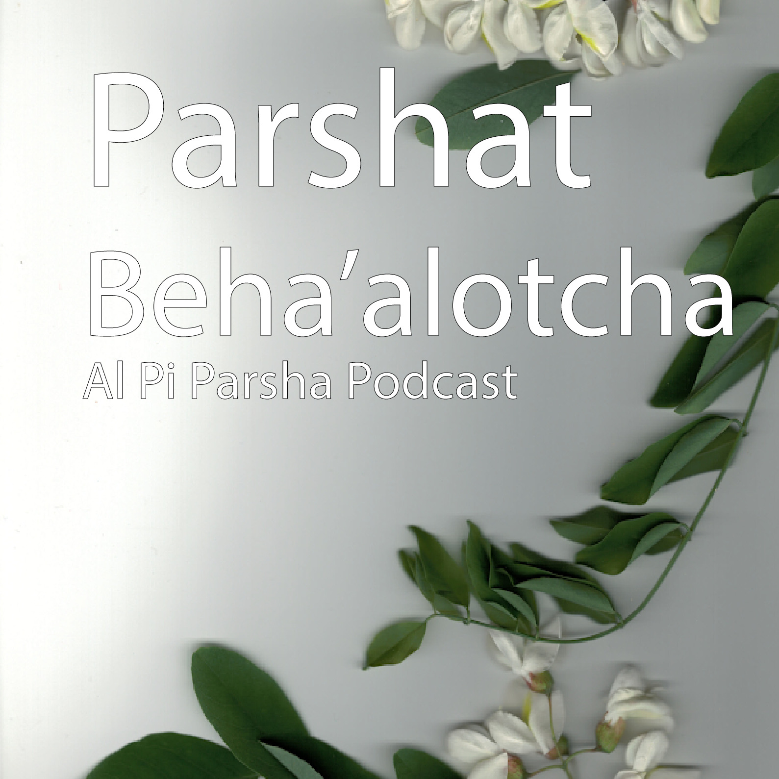 Al Pi Parsha Podcast