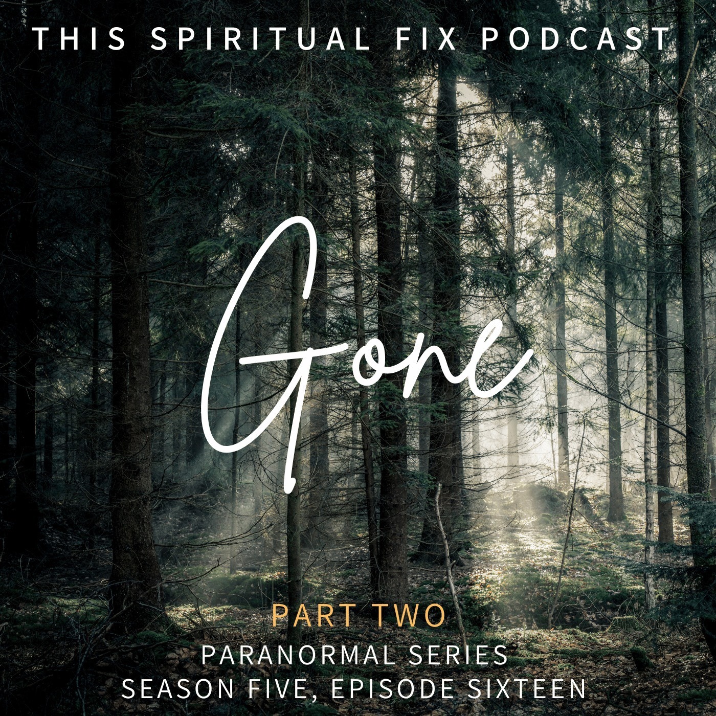 This Spiritual Fix