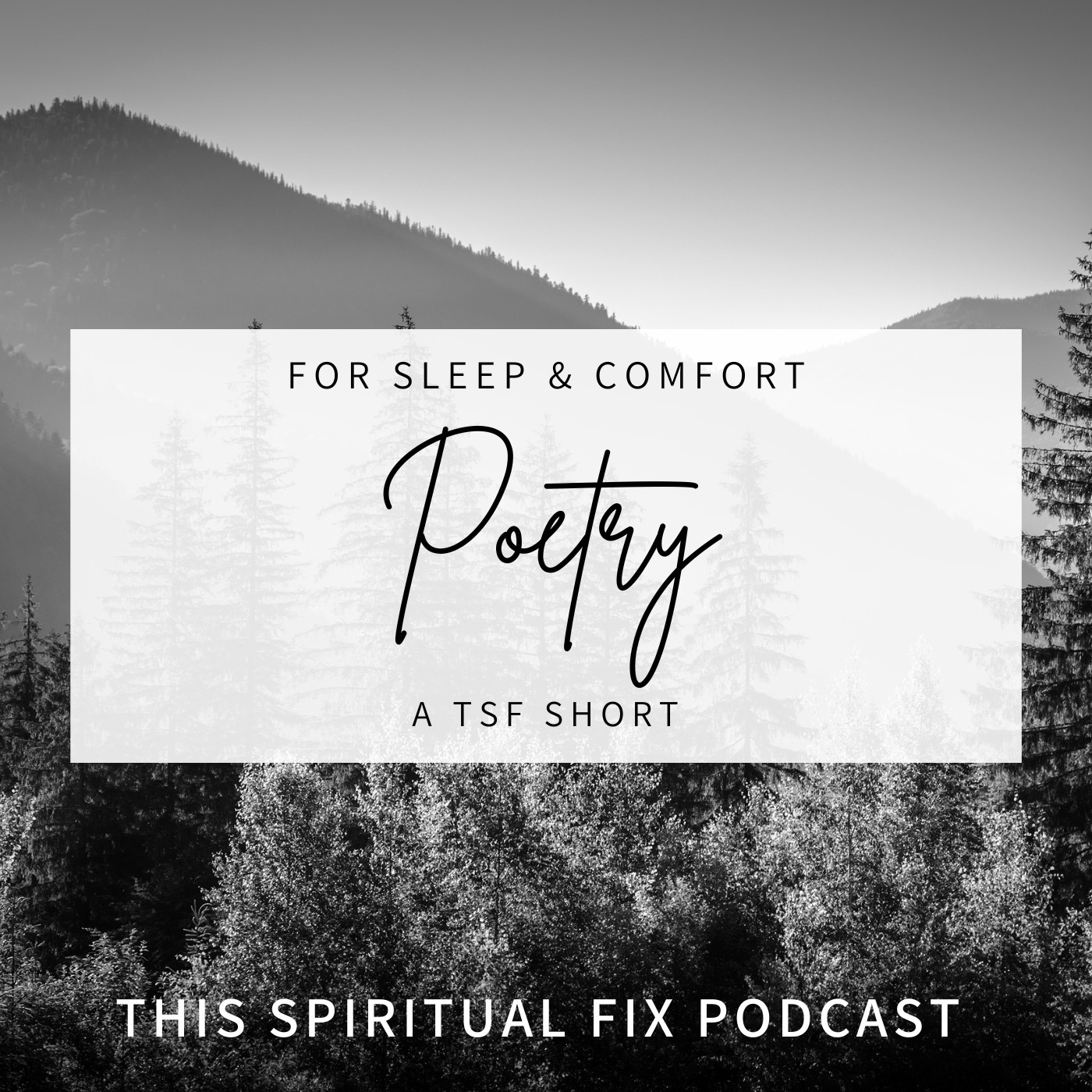 TSF Short: Poetry for Sleep & Comfort