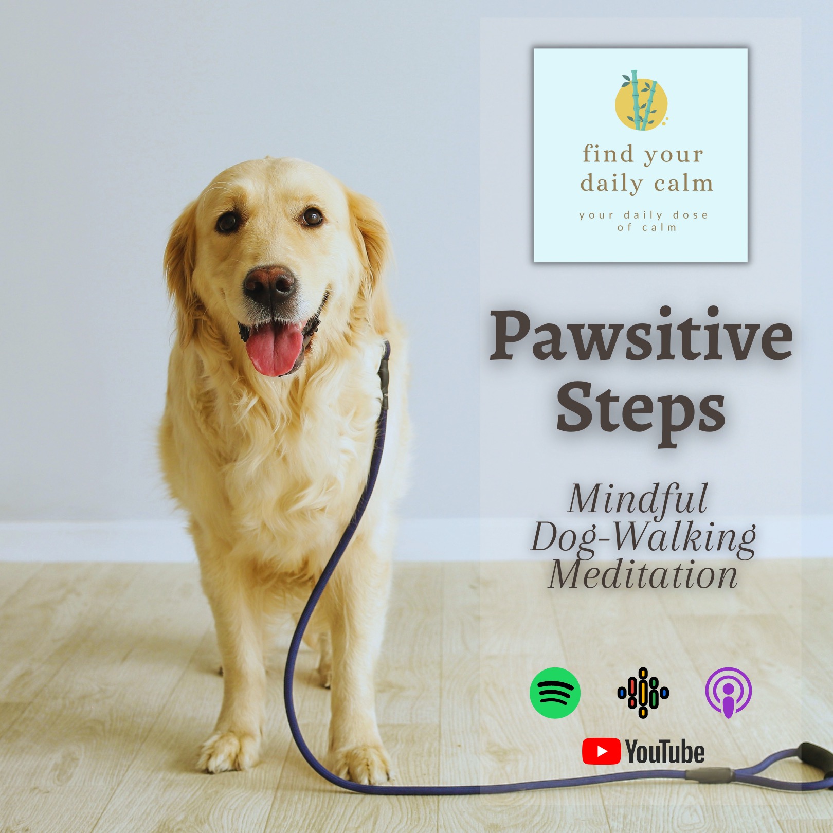 Pawsitive Steps: Mindful Dog-Walking Meditation