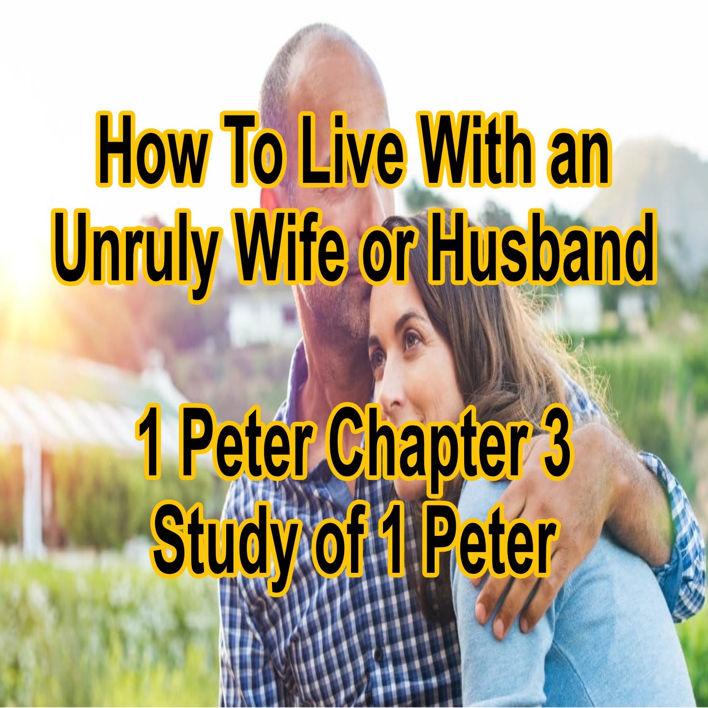 How To Live With an Unruly Wife or Husband episode artwork