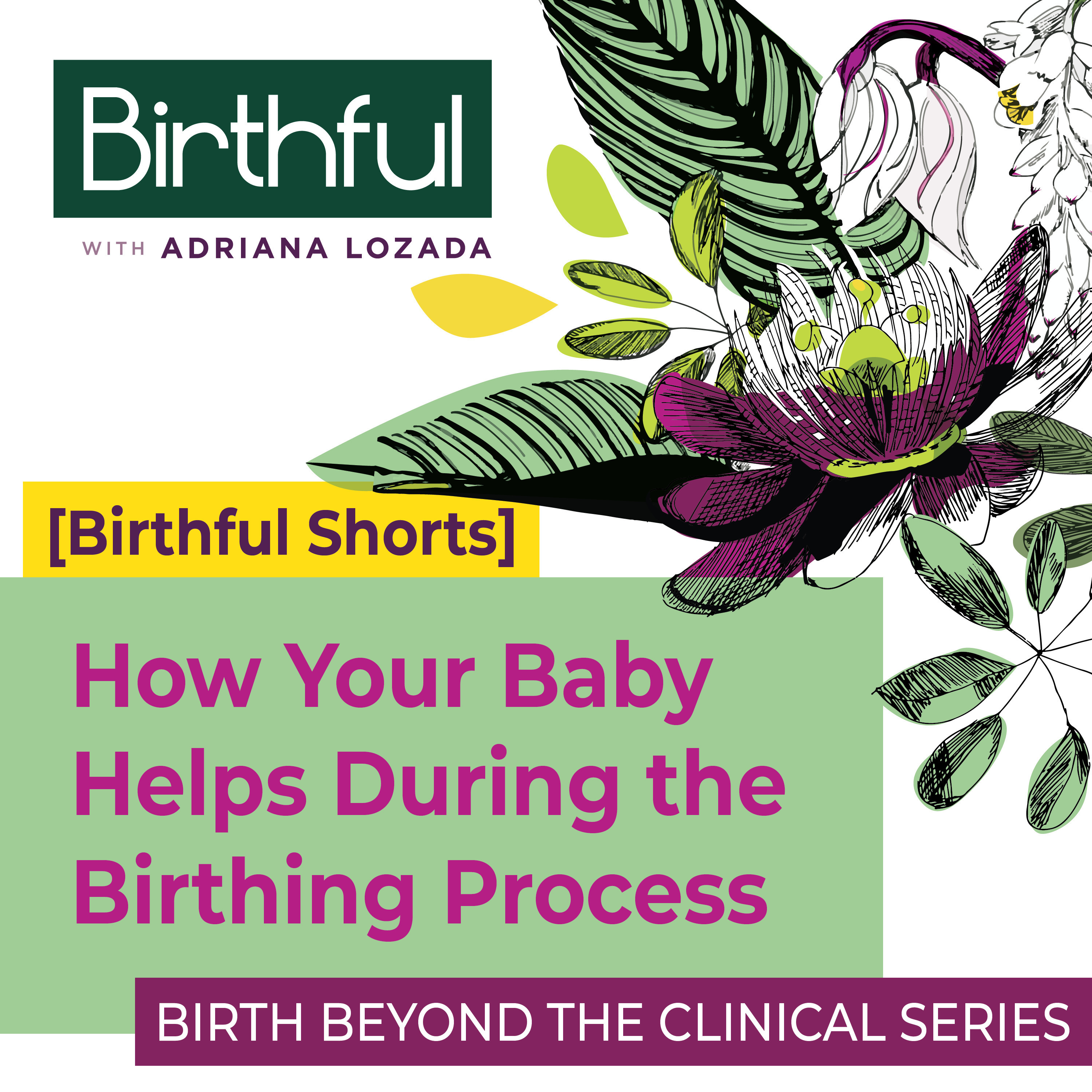 How Your Baby Helps During the Birthing Process
