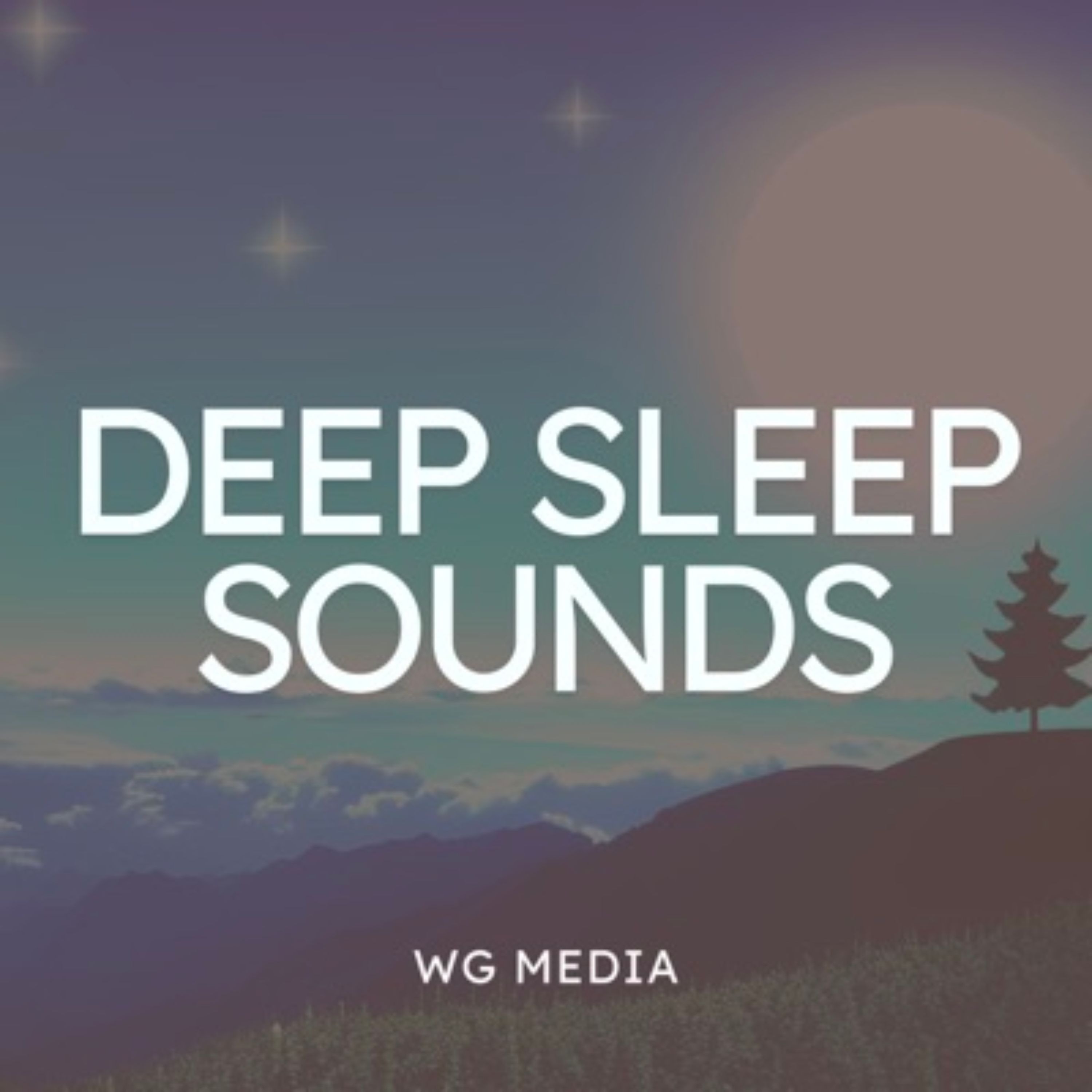Audio Player Image