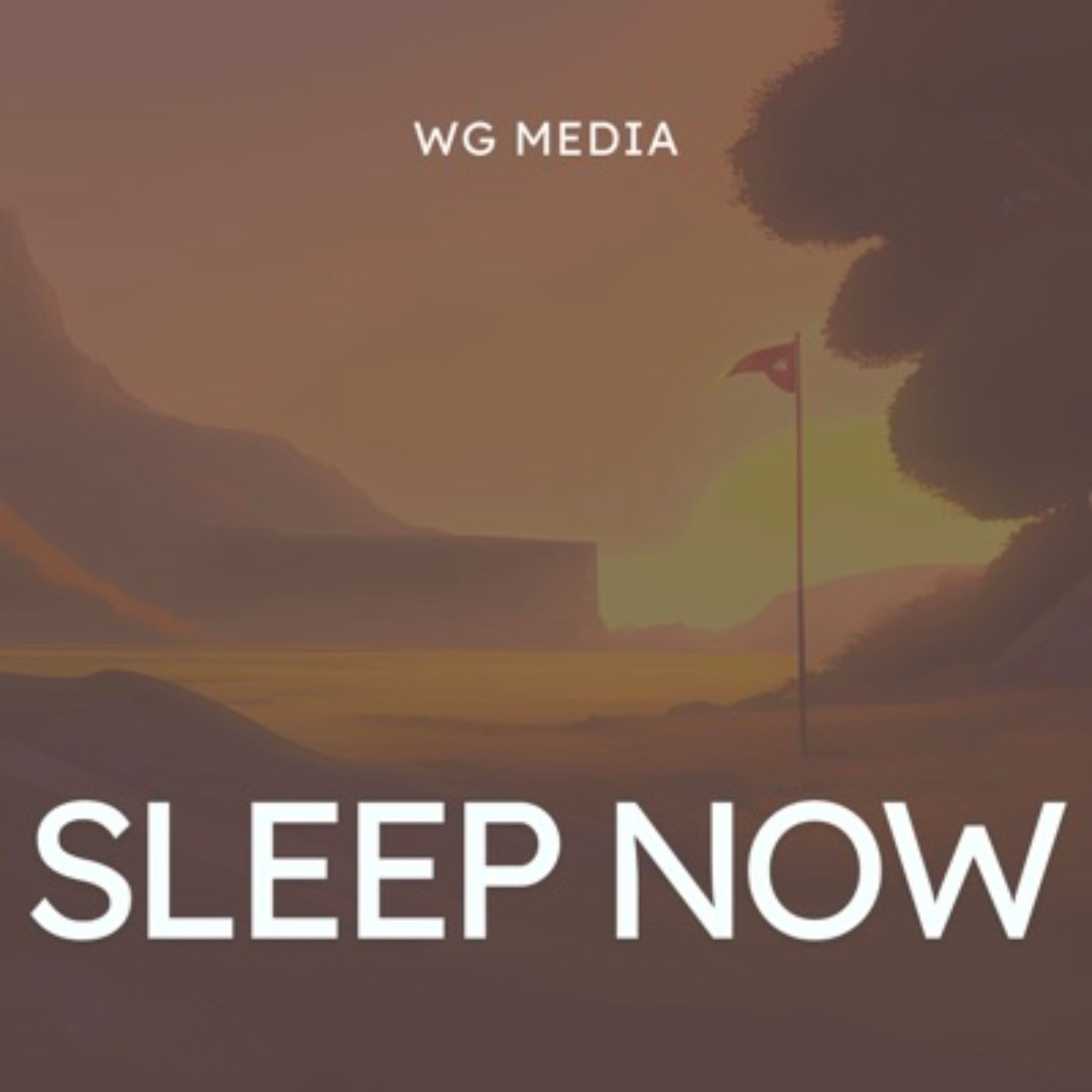 Audio Player Image