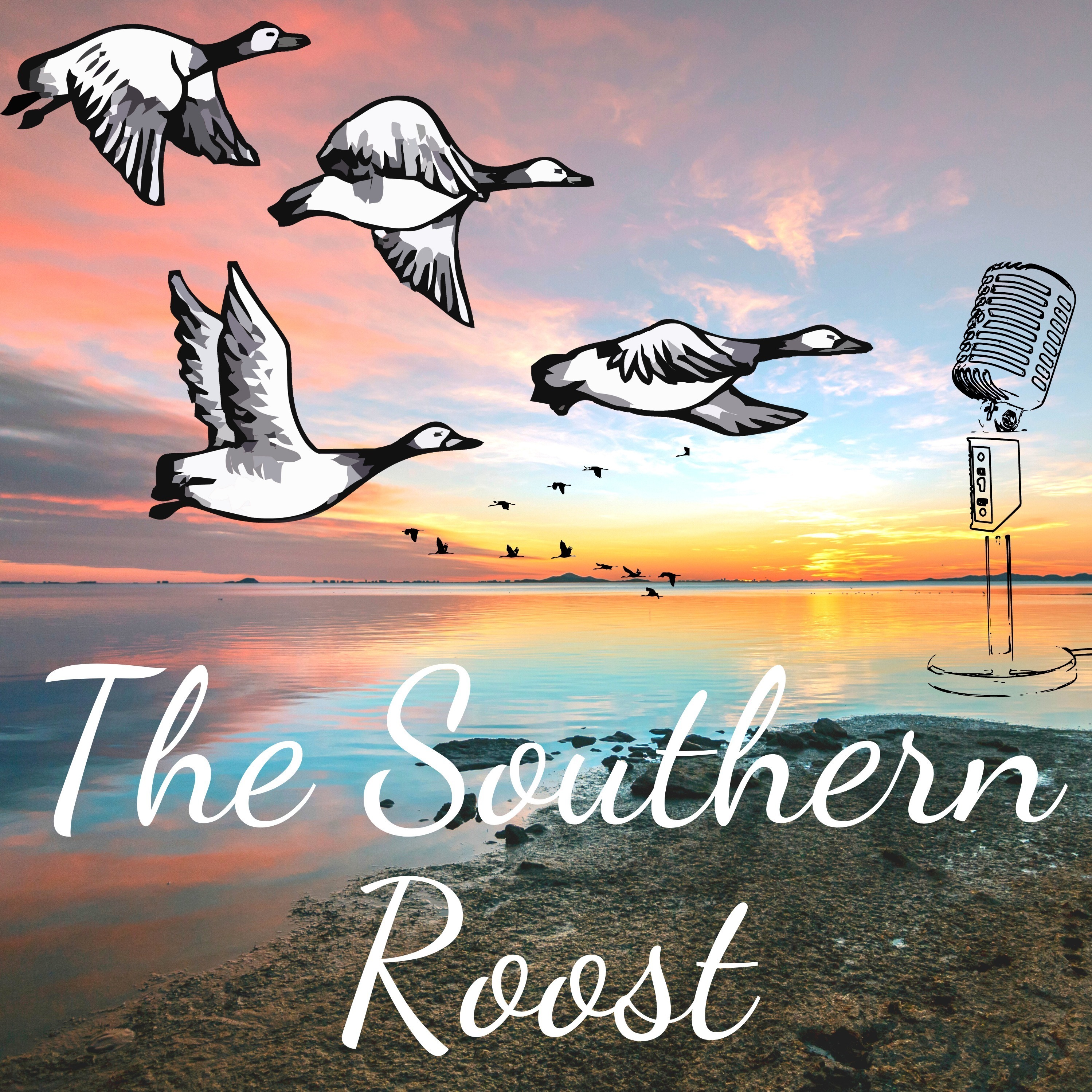 Welcome to The Southern Roost