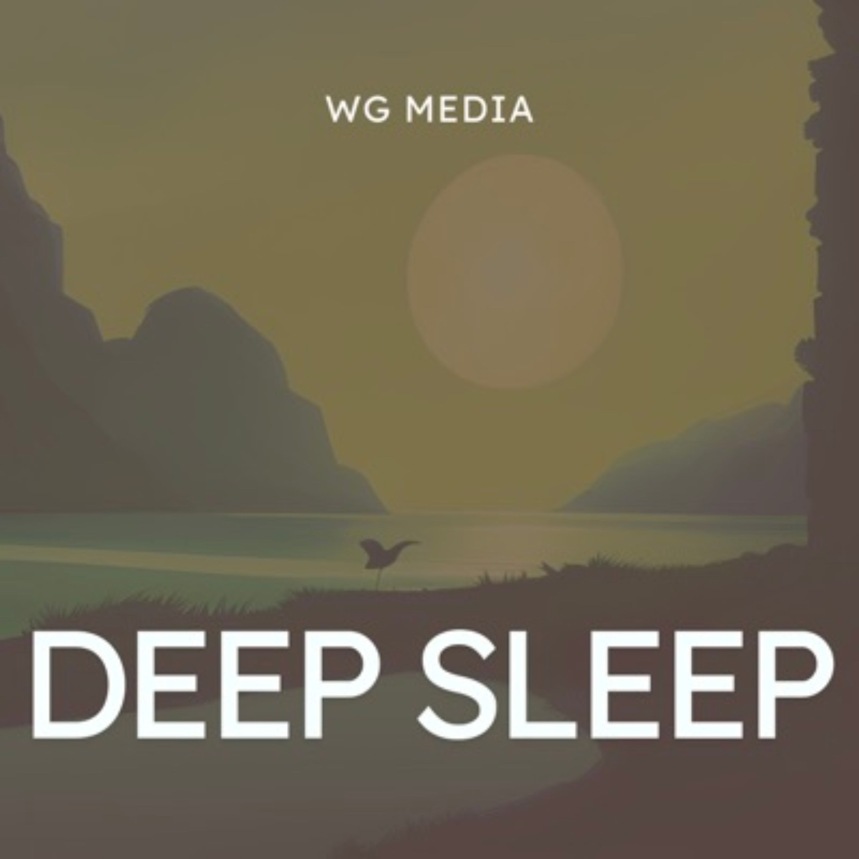 Audio Player Image