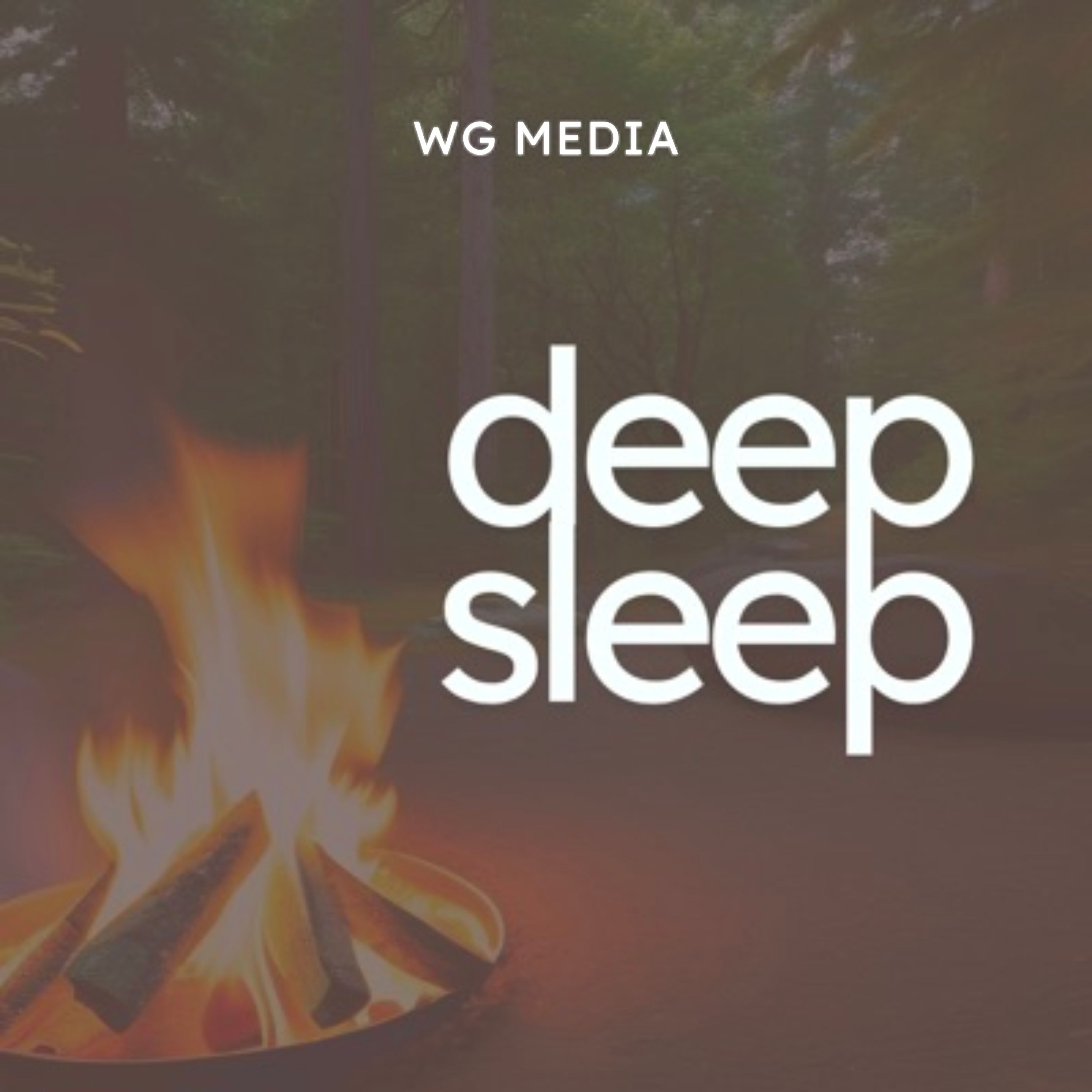 Audio Player Image