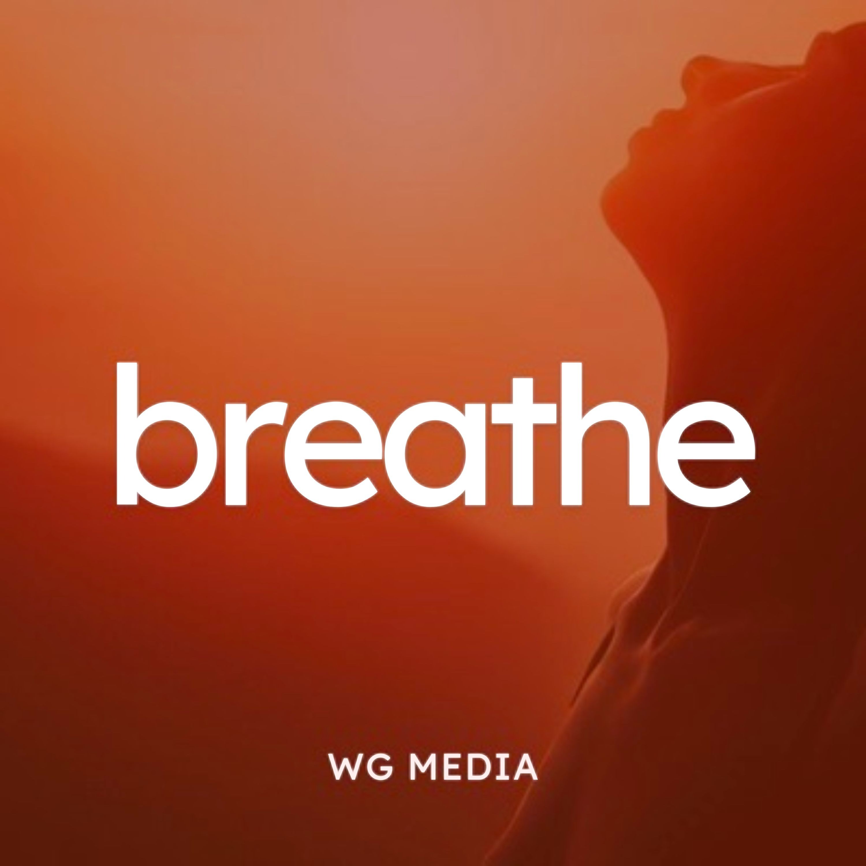 Audio Player Image