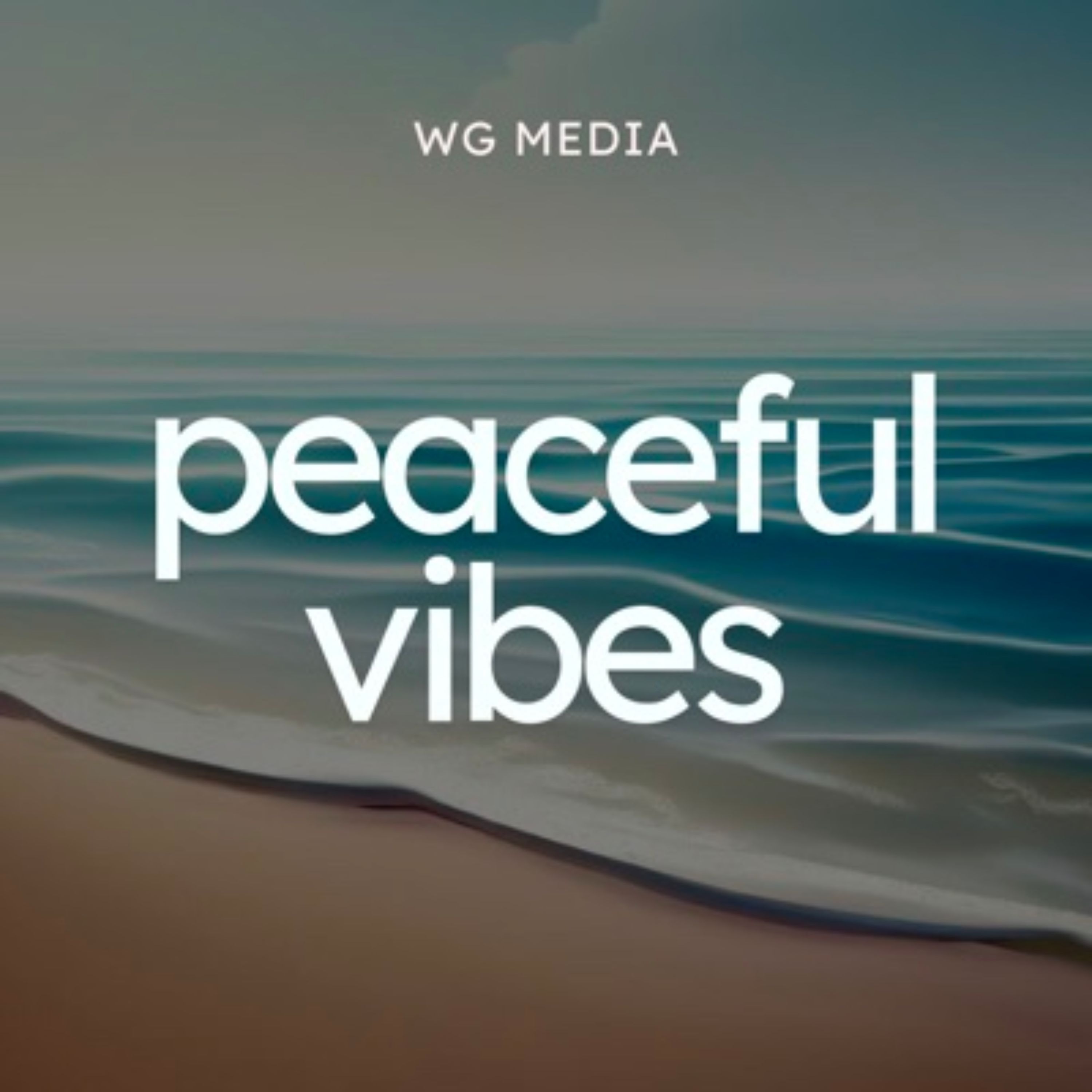 Audio Player Image
