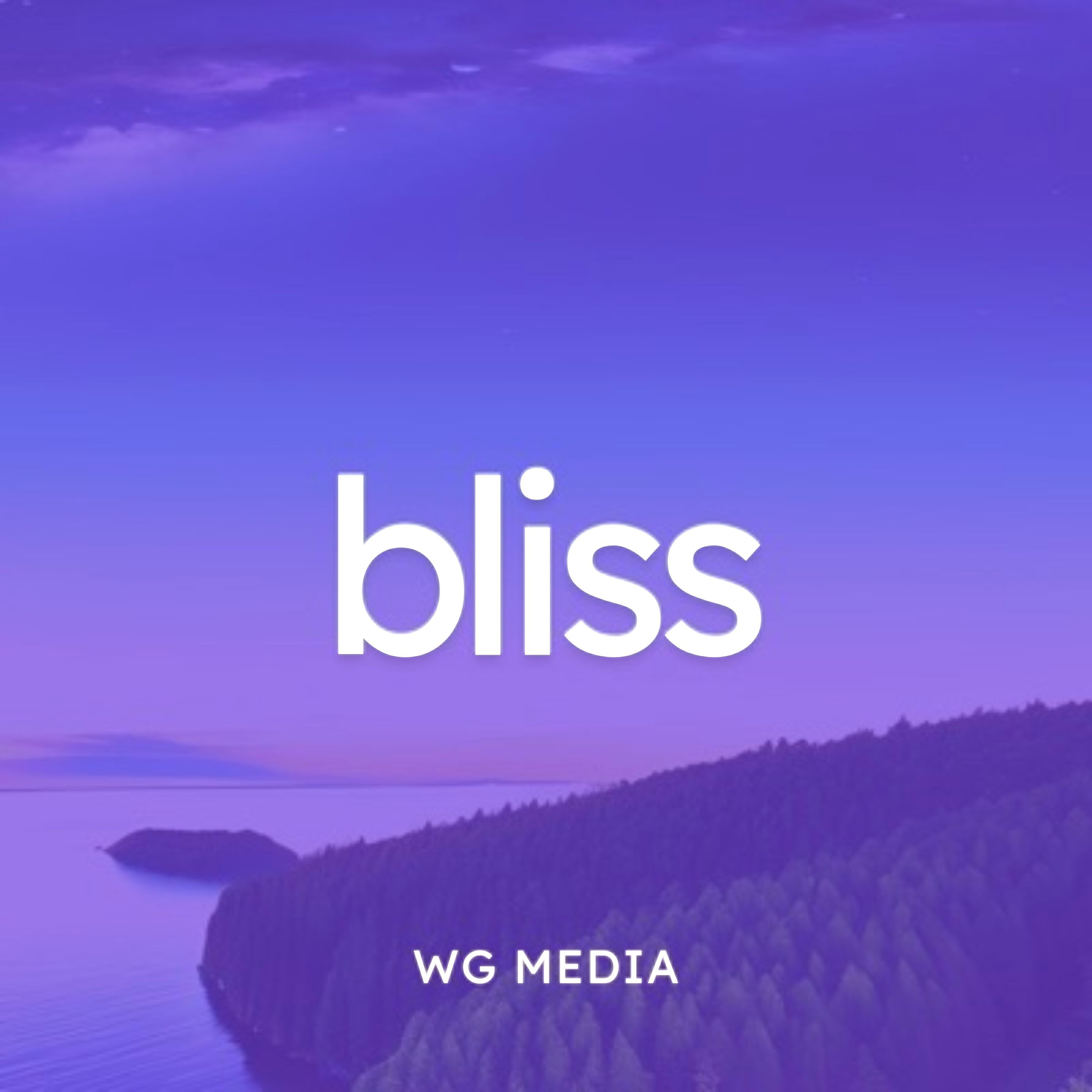 Audio Player Image