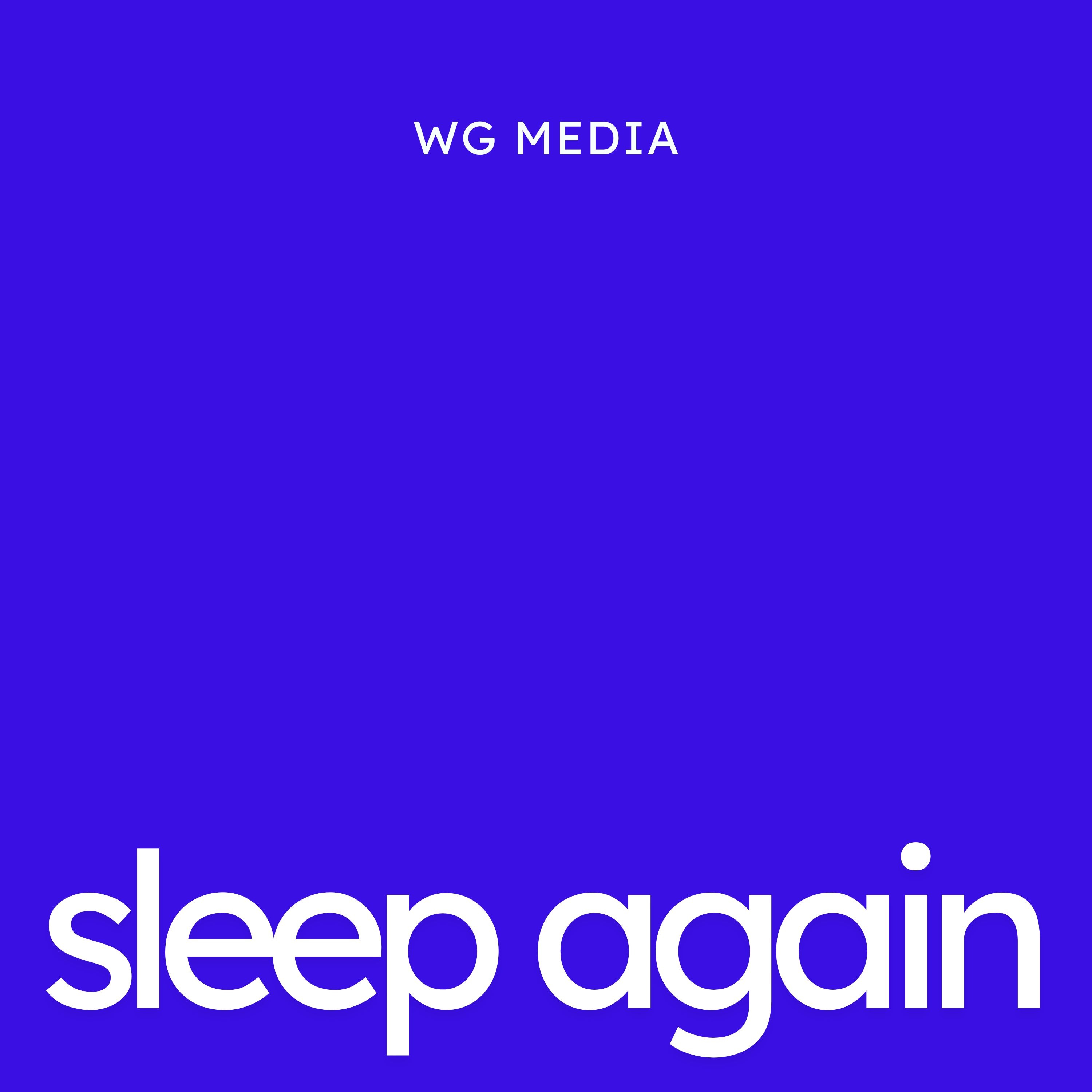 Audio Player Image